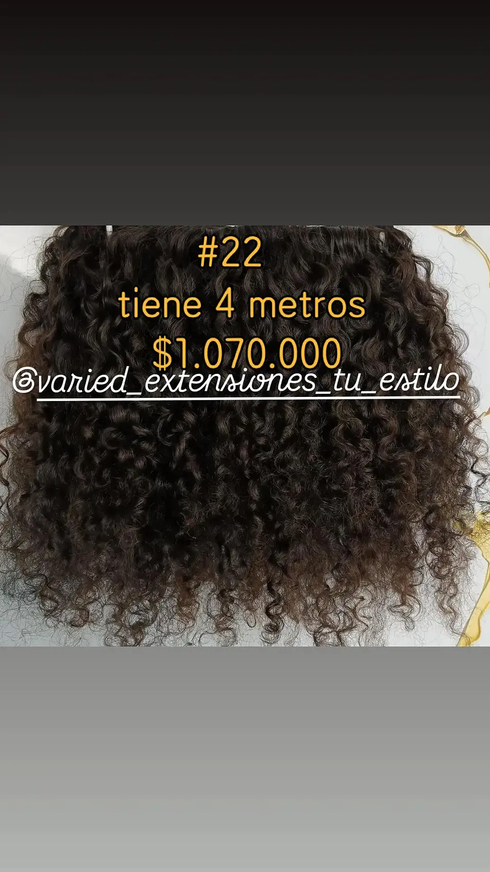 Extensión #22 1