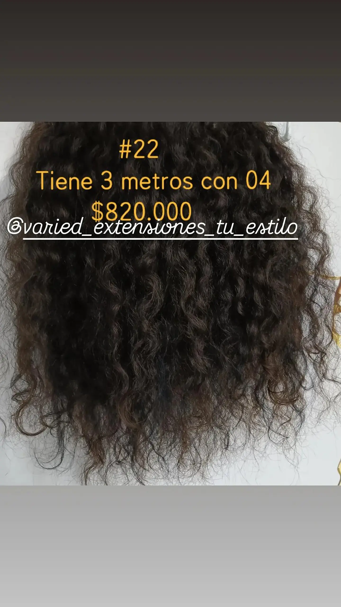 Extensión #22 1