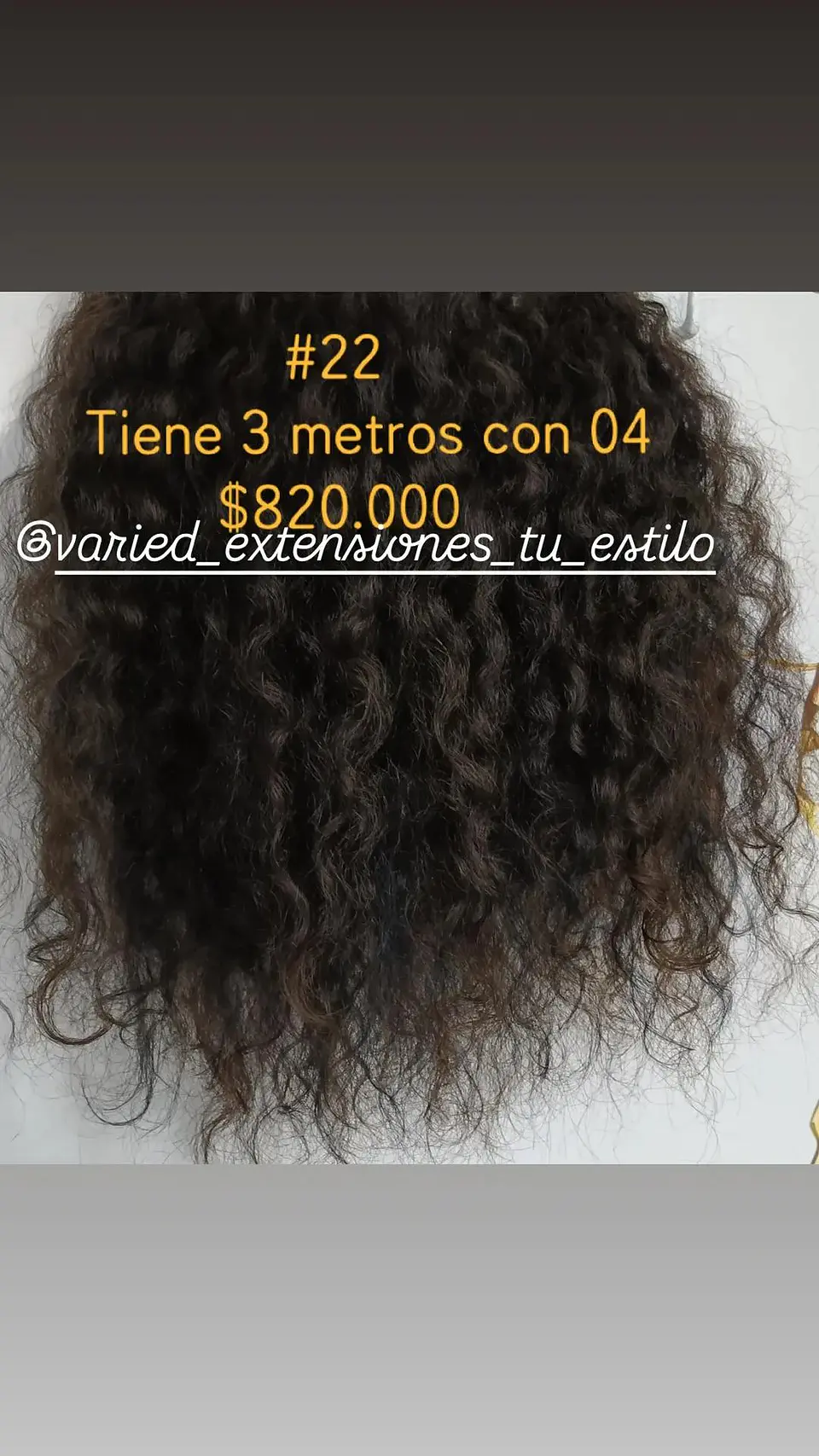 Extensión #22 1