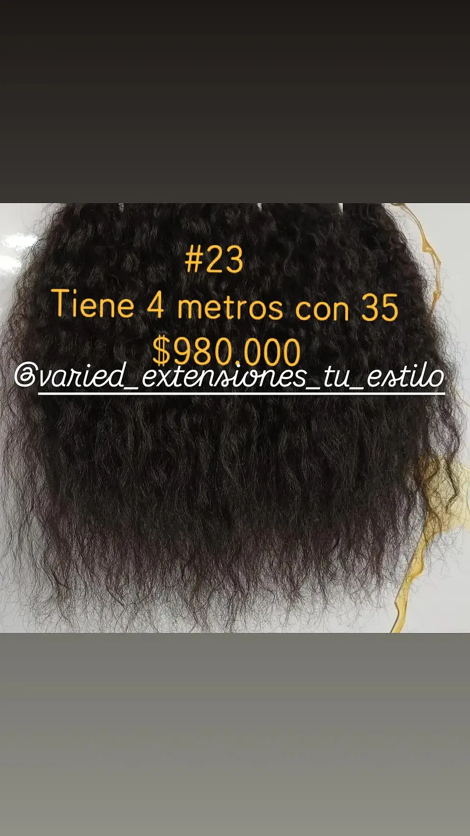Extensión #23 1