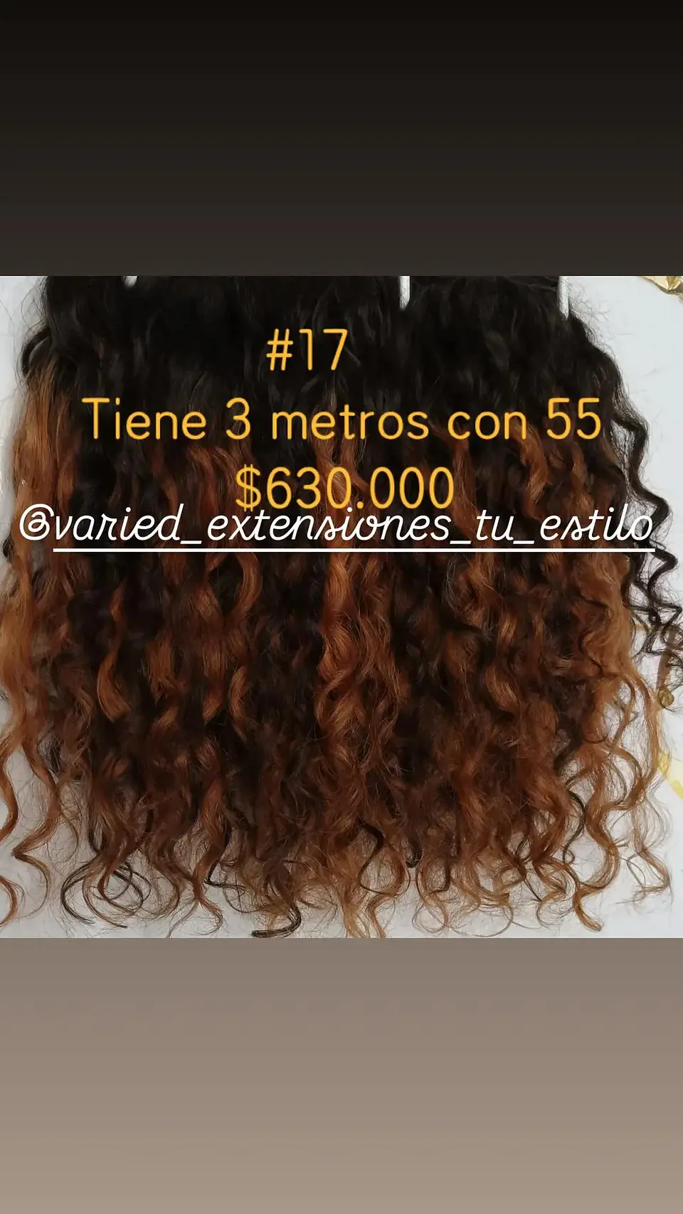 Extensión #17 1