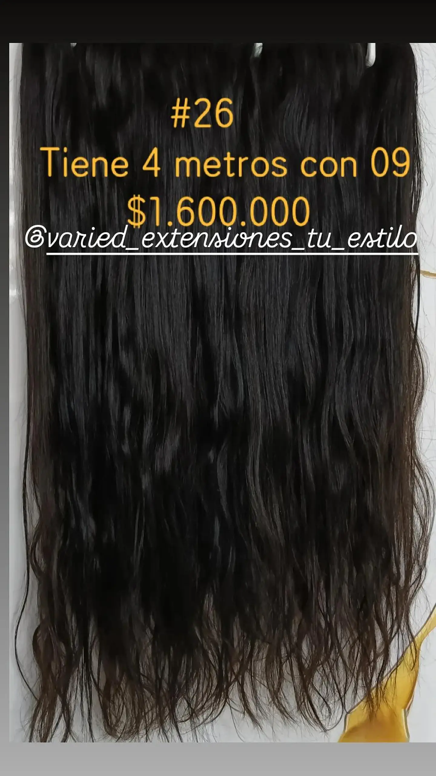 Extensión #26 1