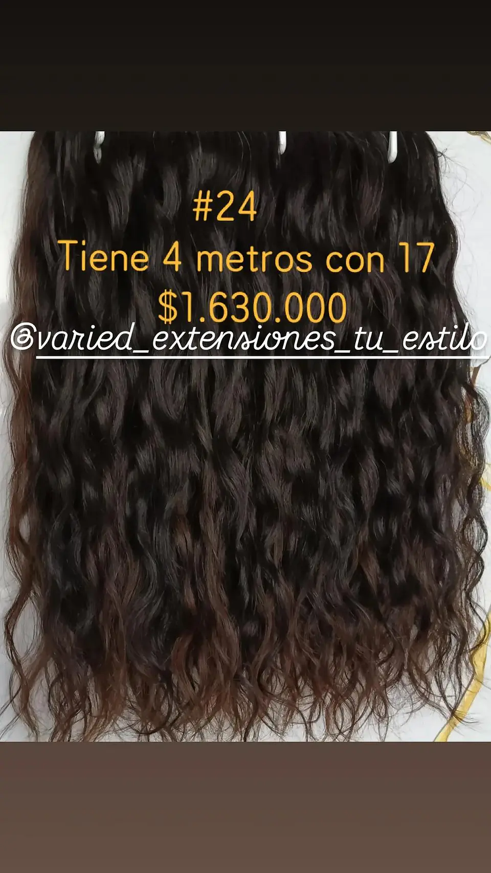Extensión #24 1