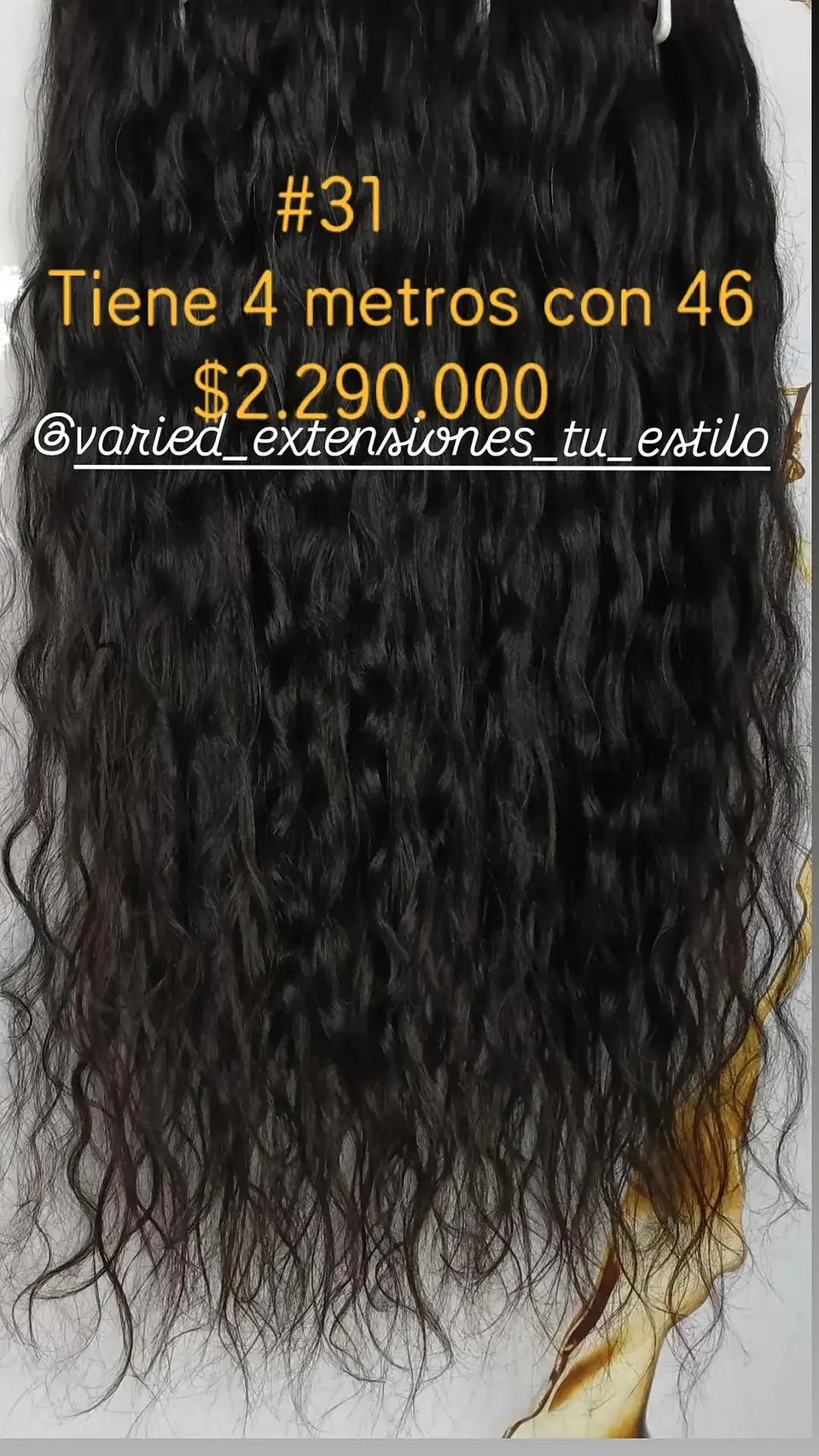 Extensión #31 1
