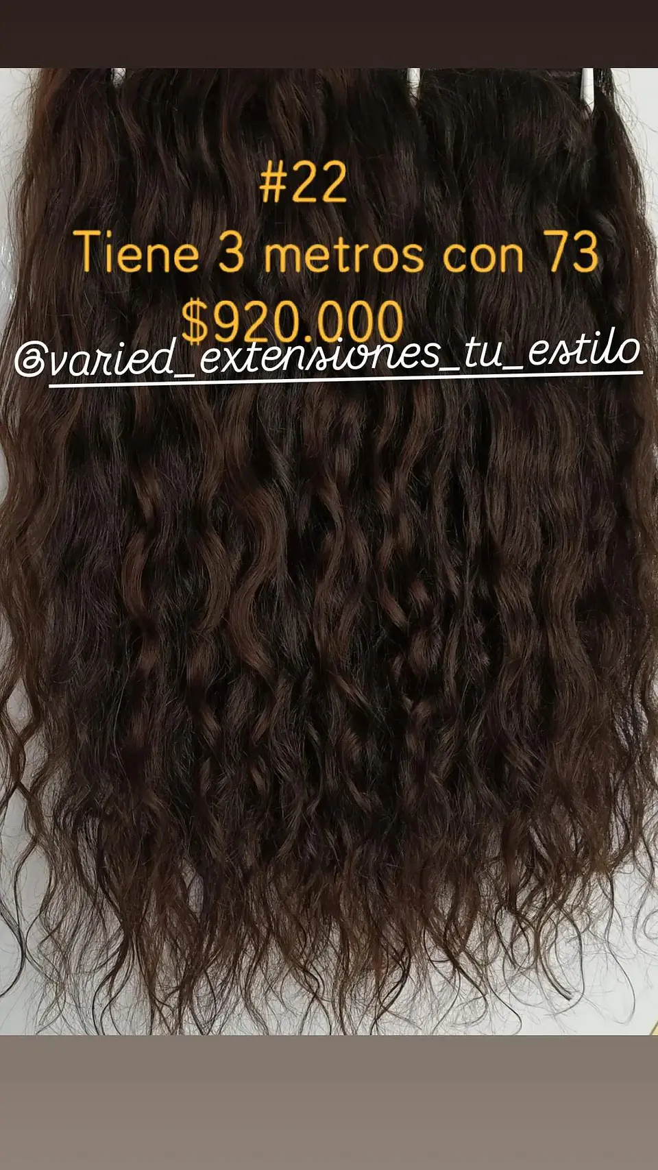 Extensión #22 1
