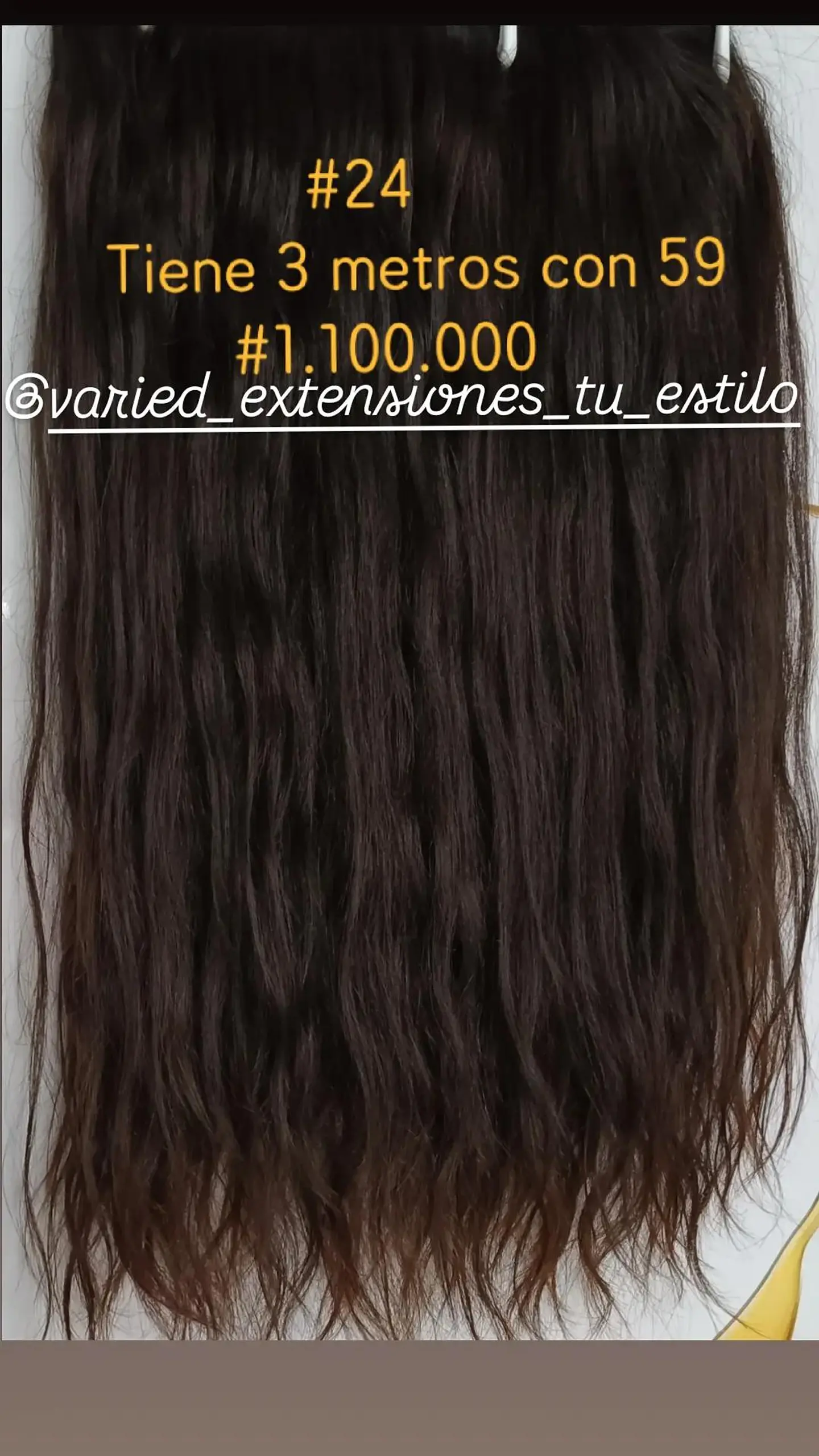 Extensión #24 1