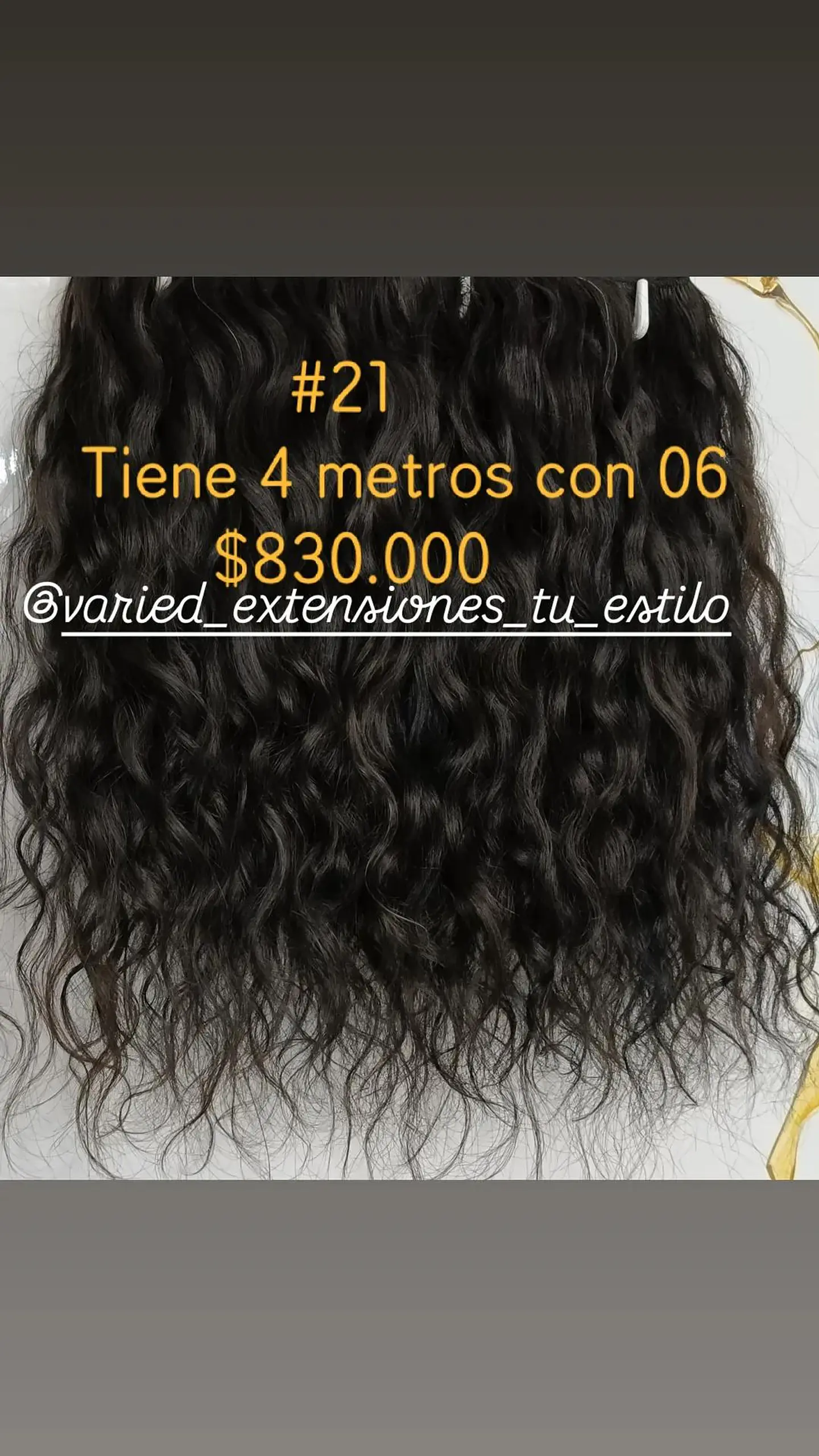 Extensión #21 1
