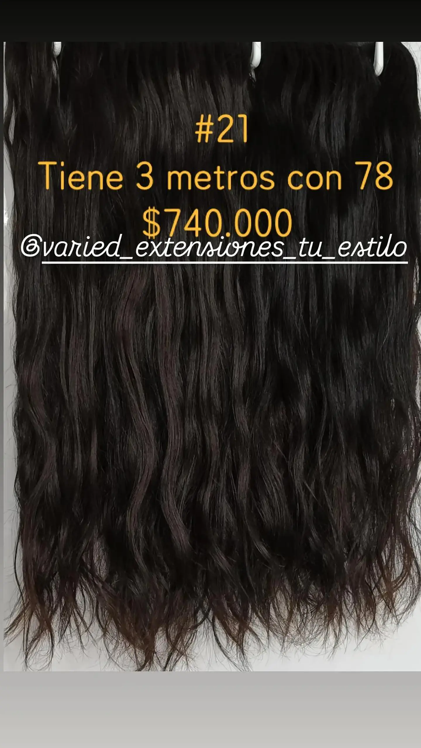 Extensión #21 1