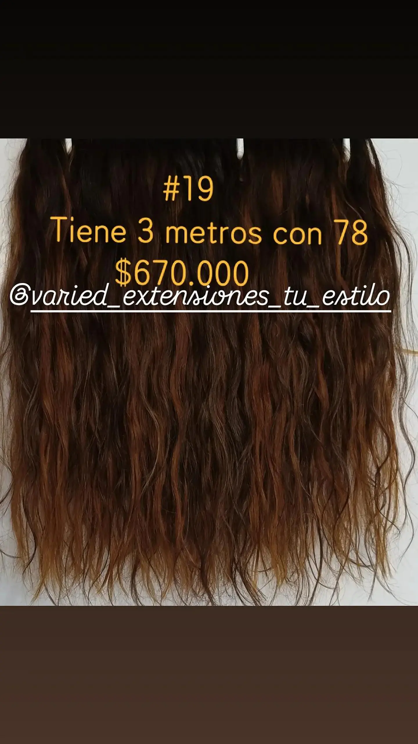Extensión #18 1