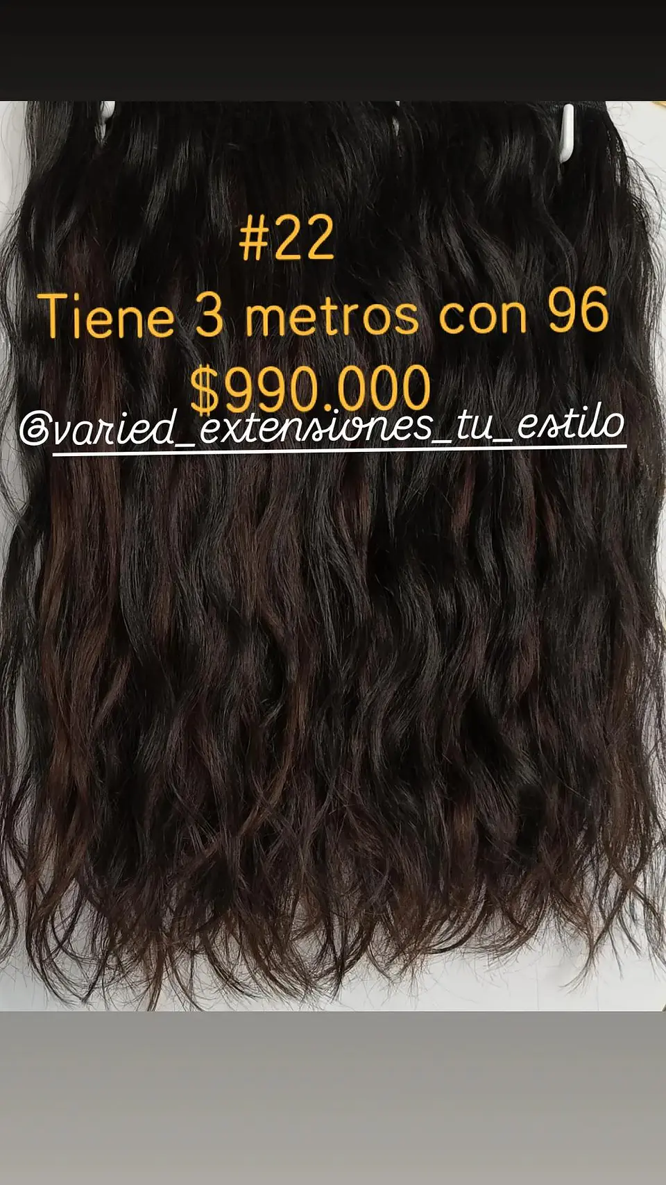 Extensión #22 1