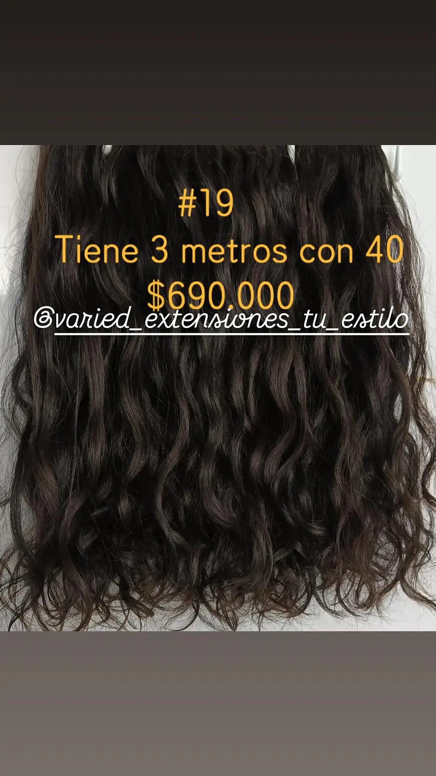 Extensión #19 1
