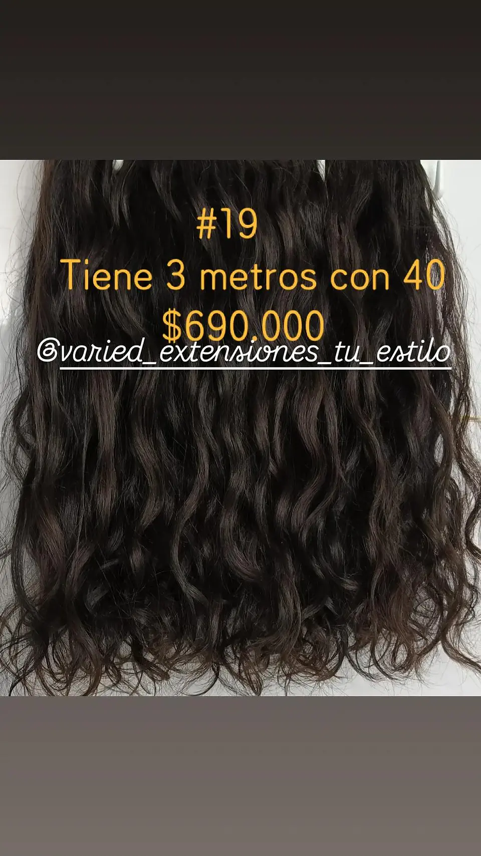 Extensión #19 1