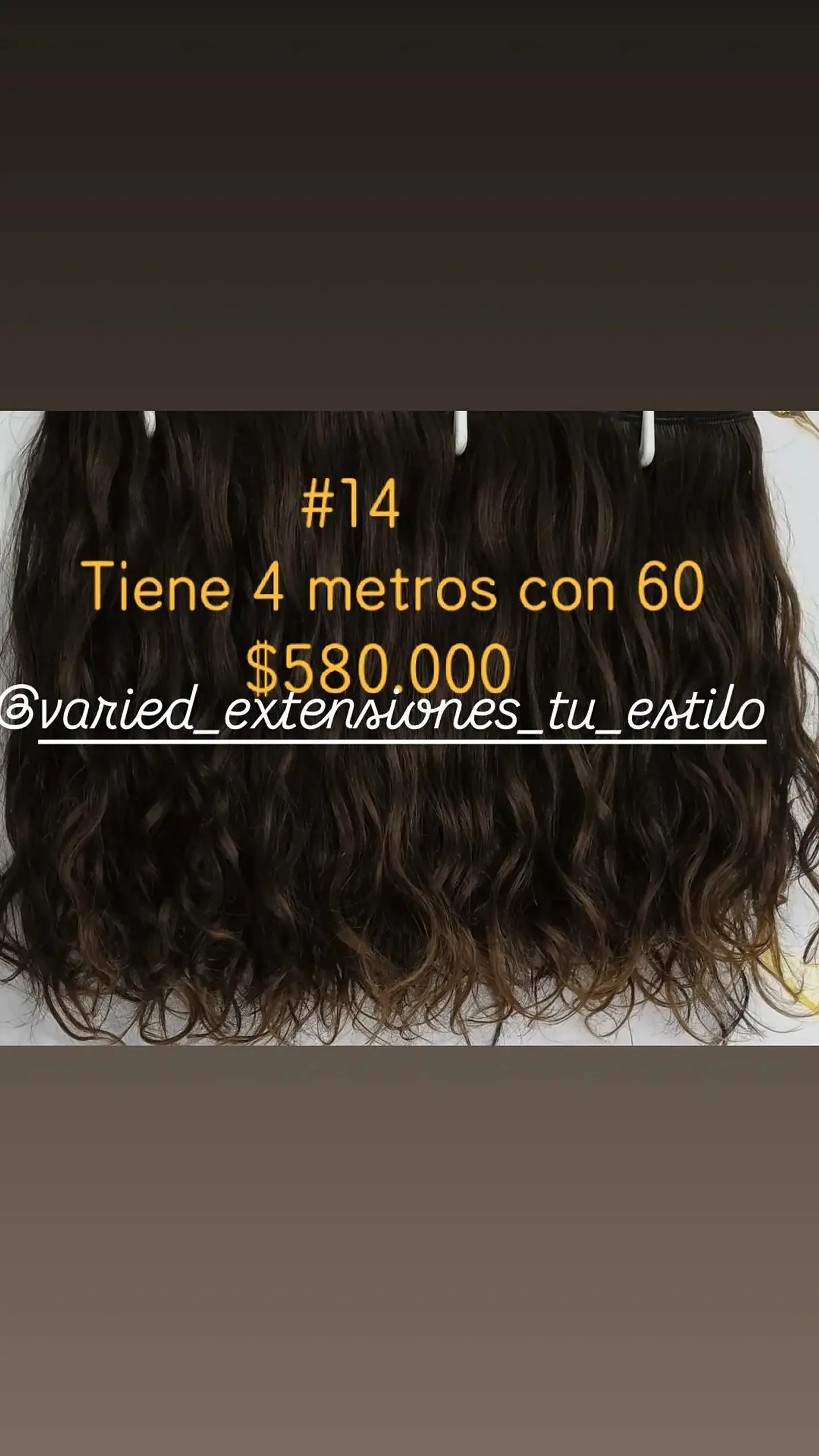 Extensión #14 1