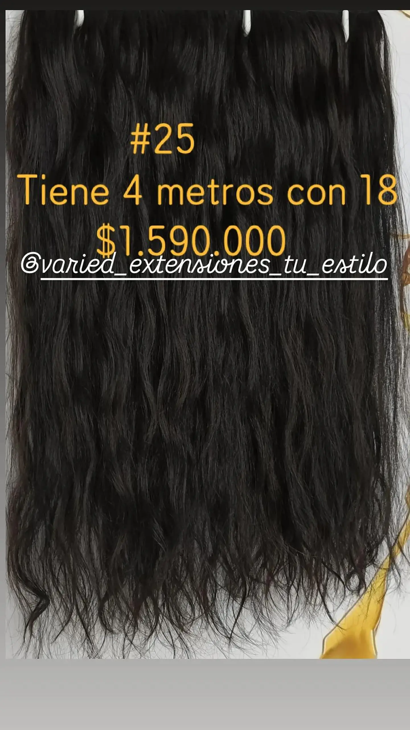 Extensión #25 1