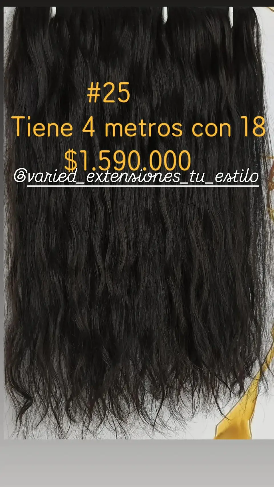Extensión #25 1