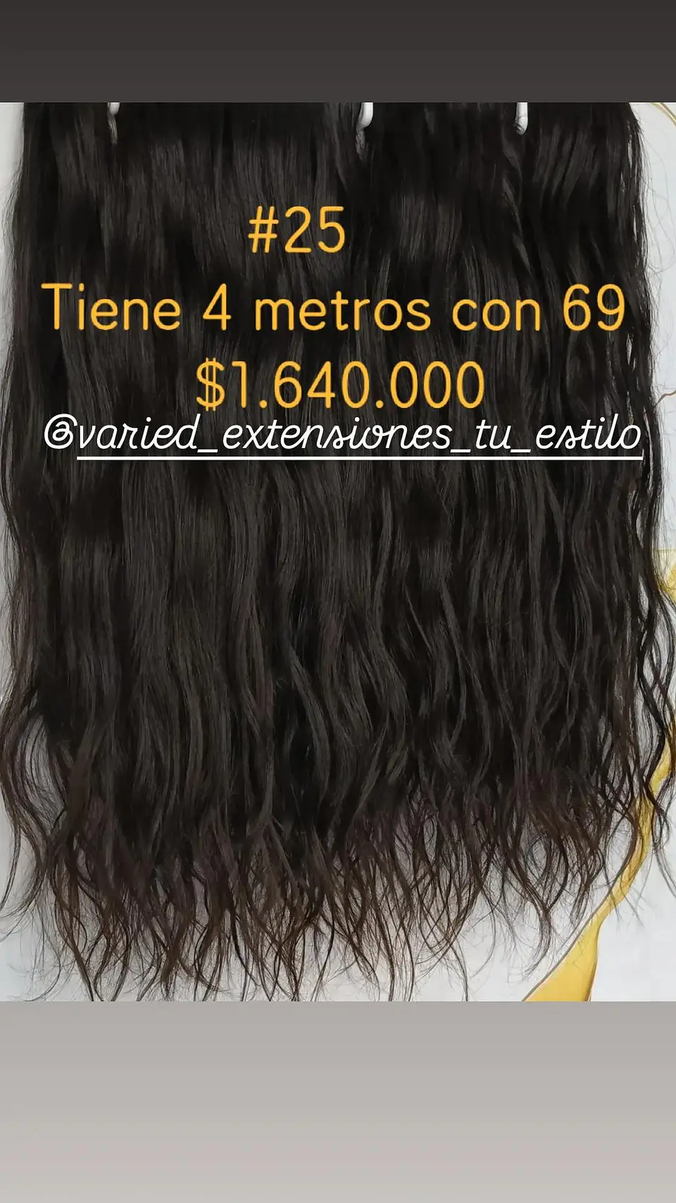 Extensión #25 1
