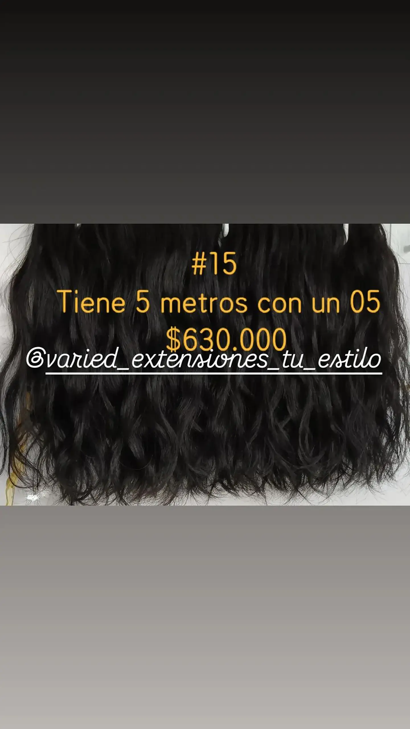 Extensión #15 1