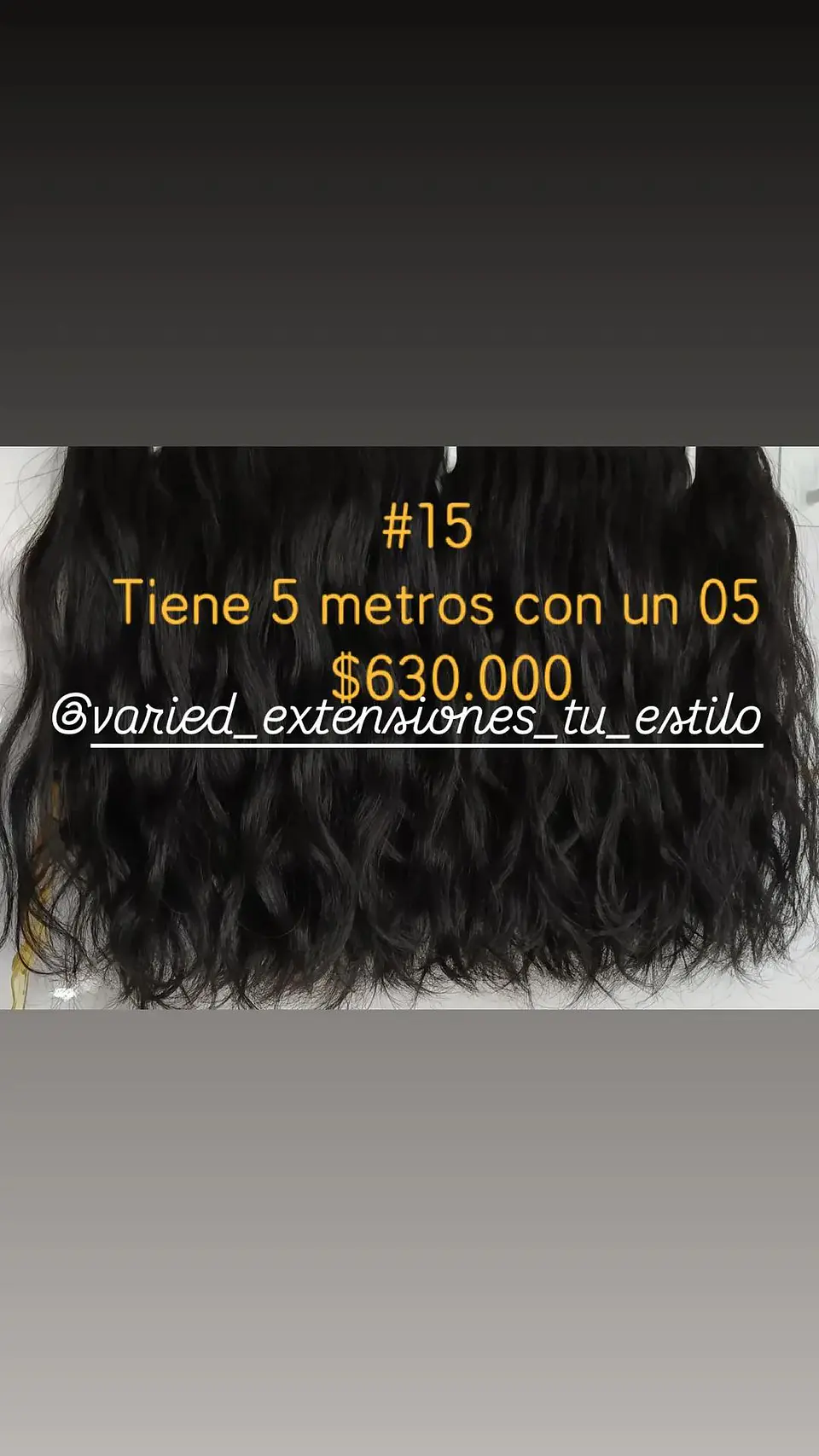Extensión #15 1