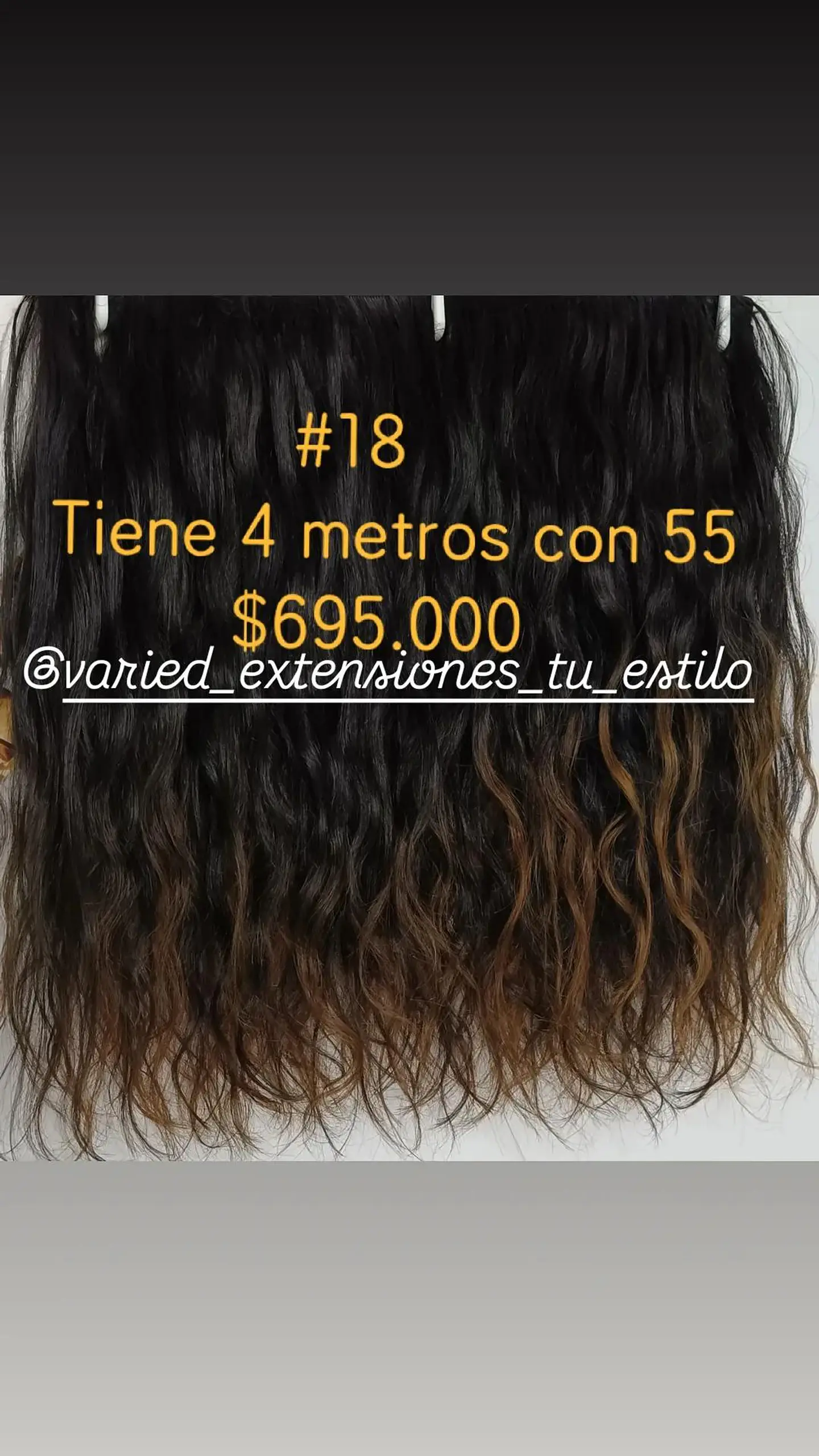 Extensión #18 1