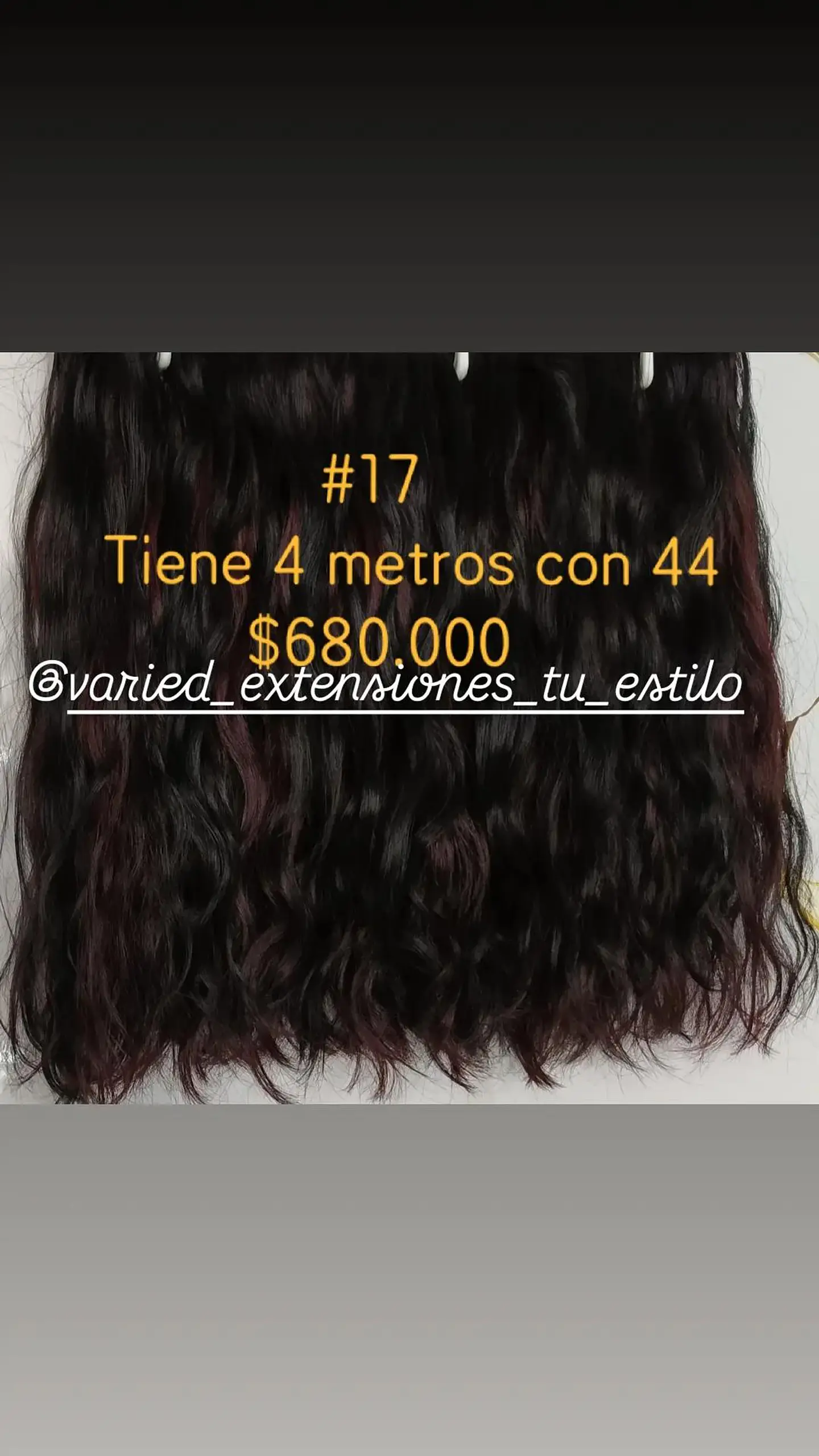 Extensión #17 1