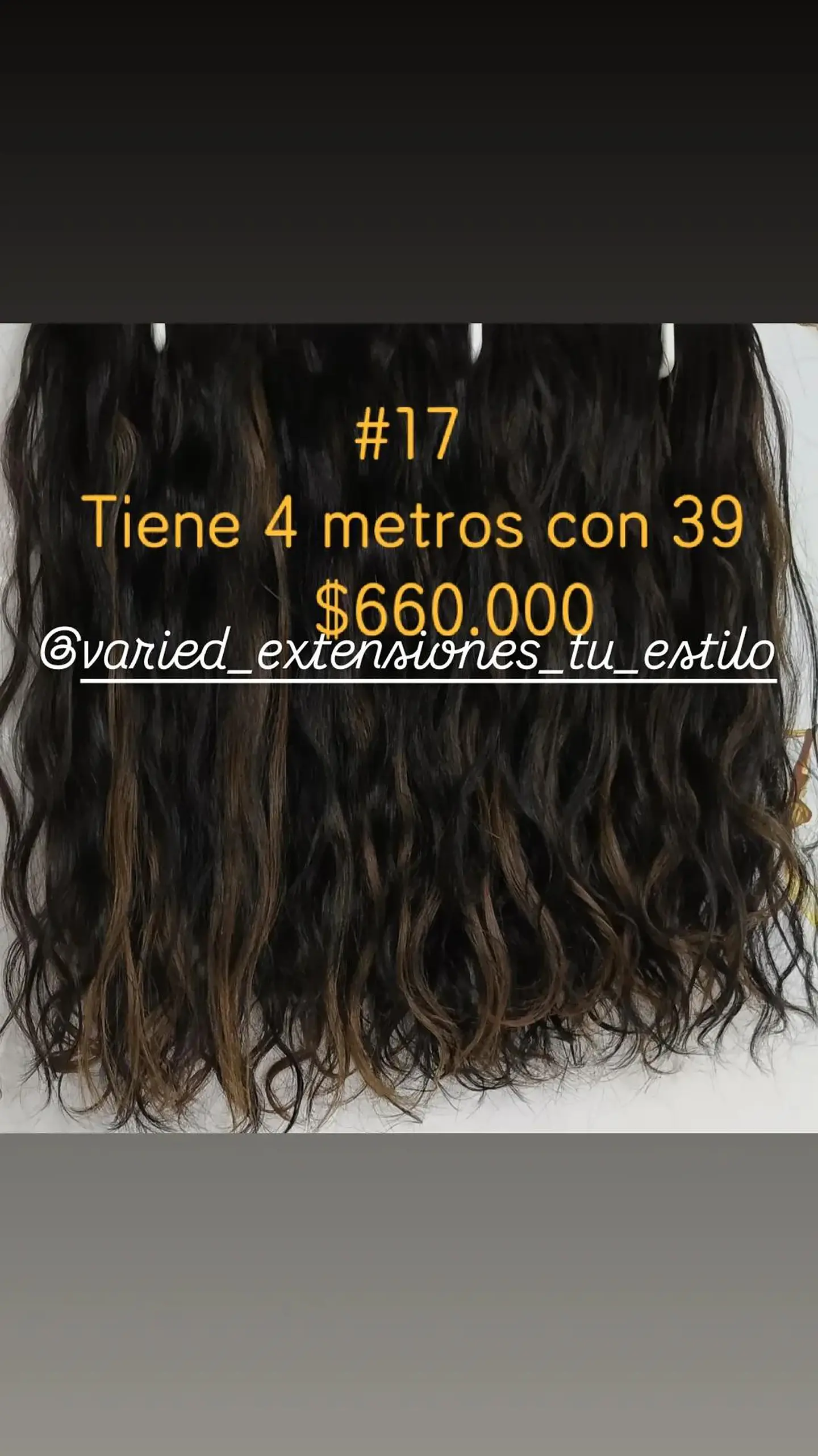 Extensión #17 1