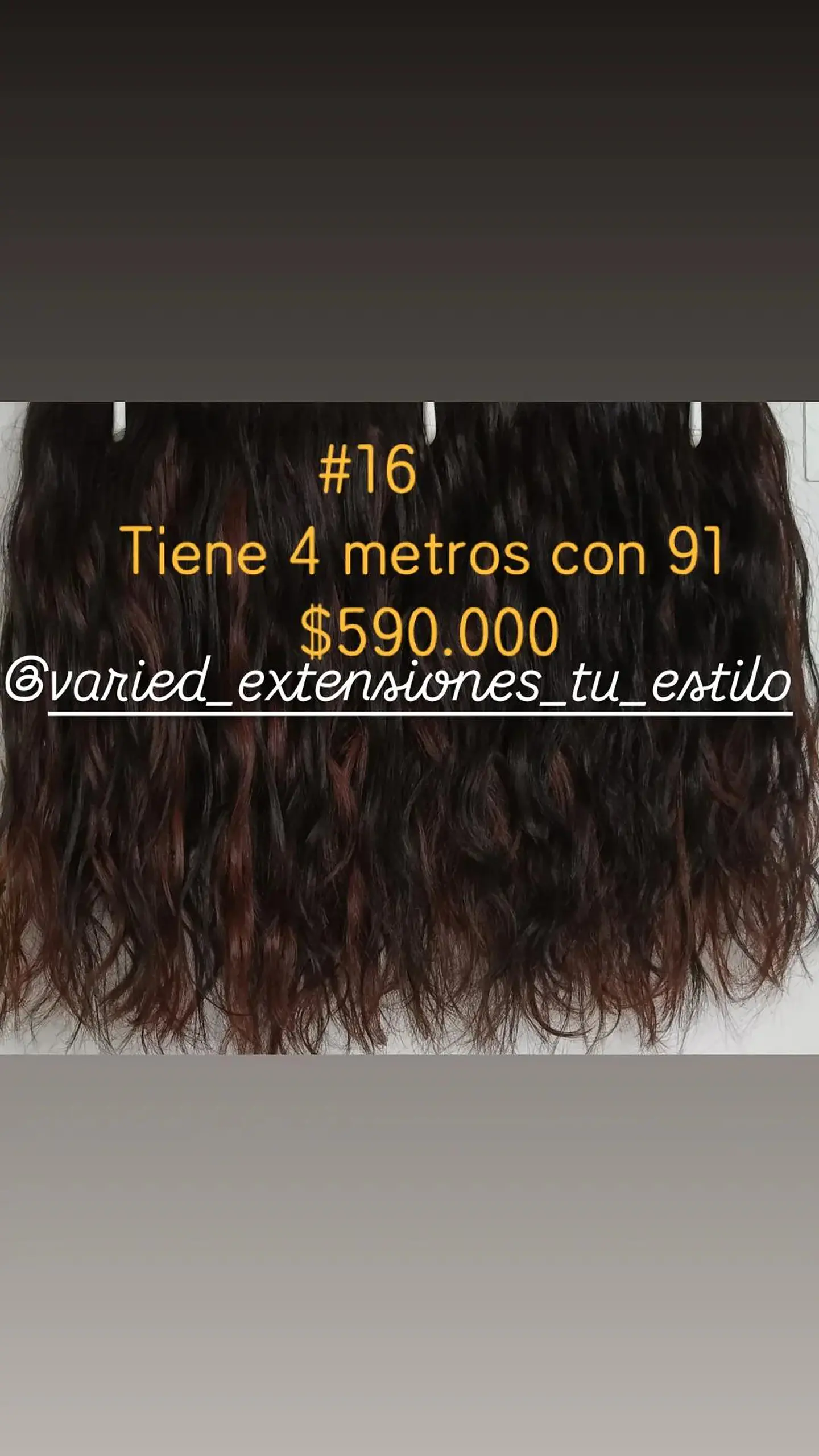 Extensión #16 1