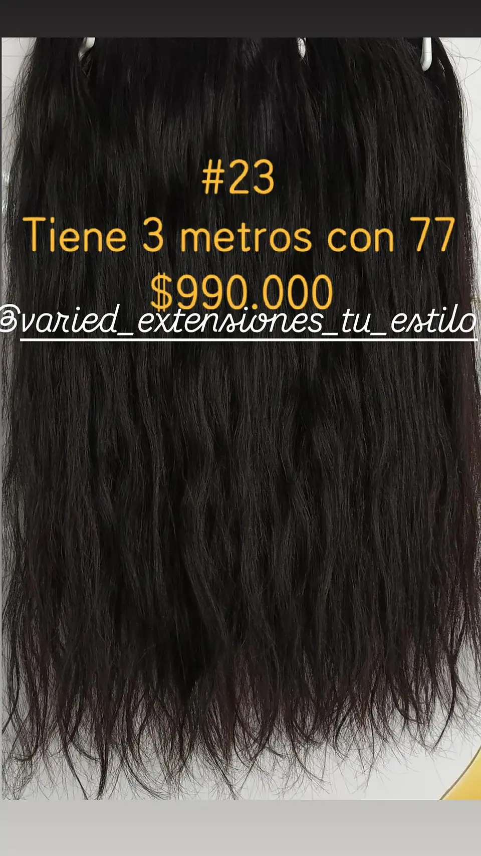 Extensión #23 1