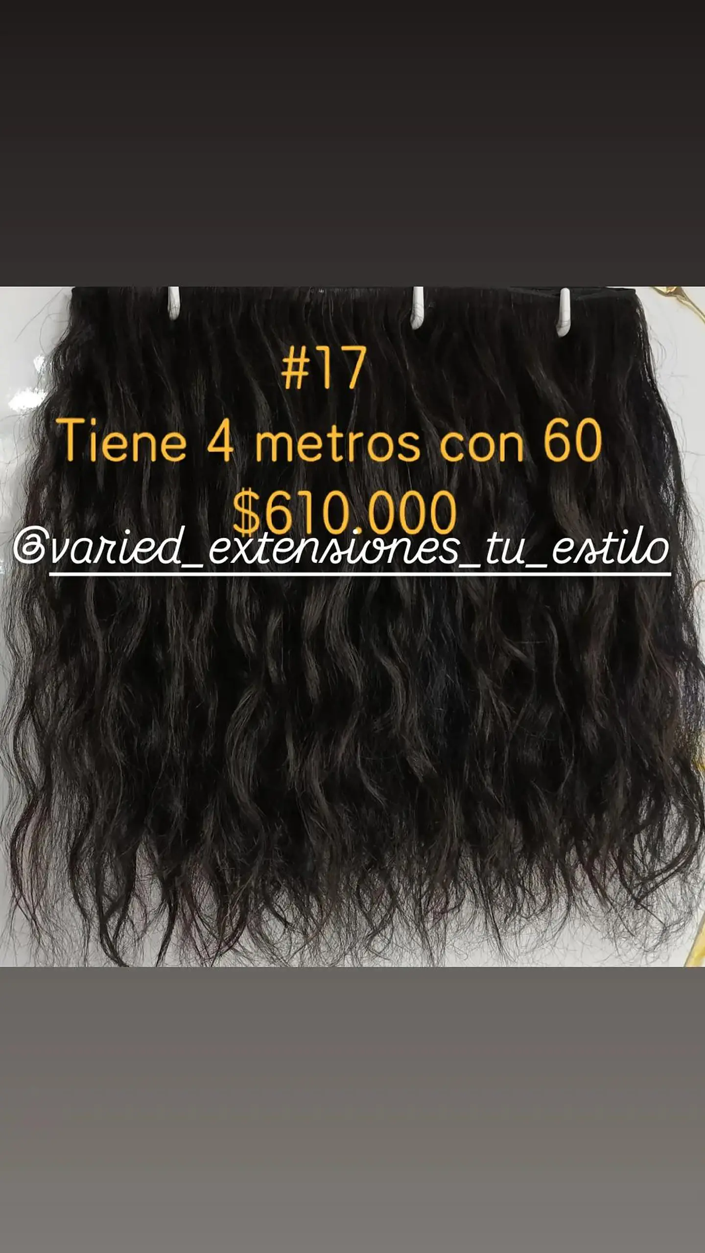Extensión #17 1