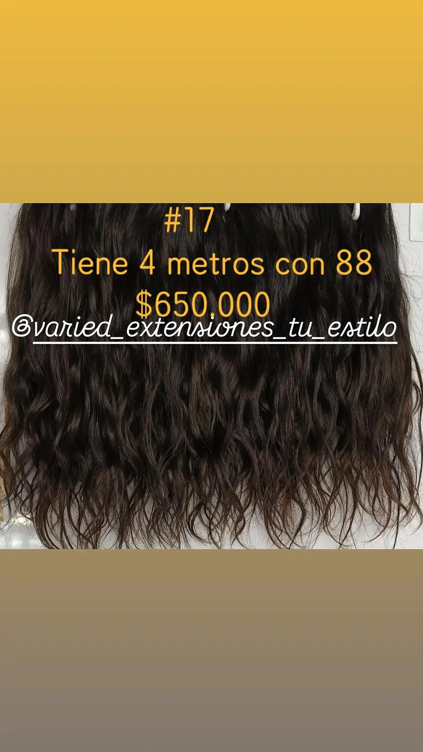 Extensión #17 1