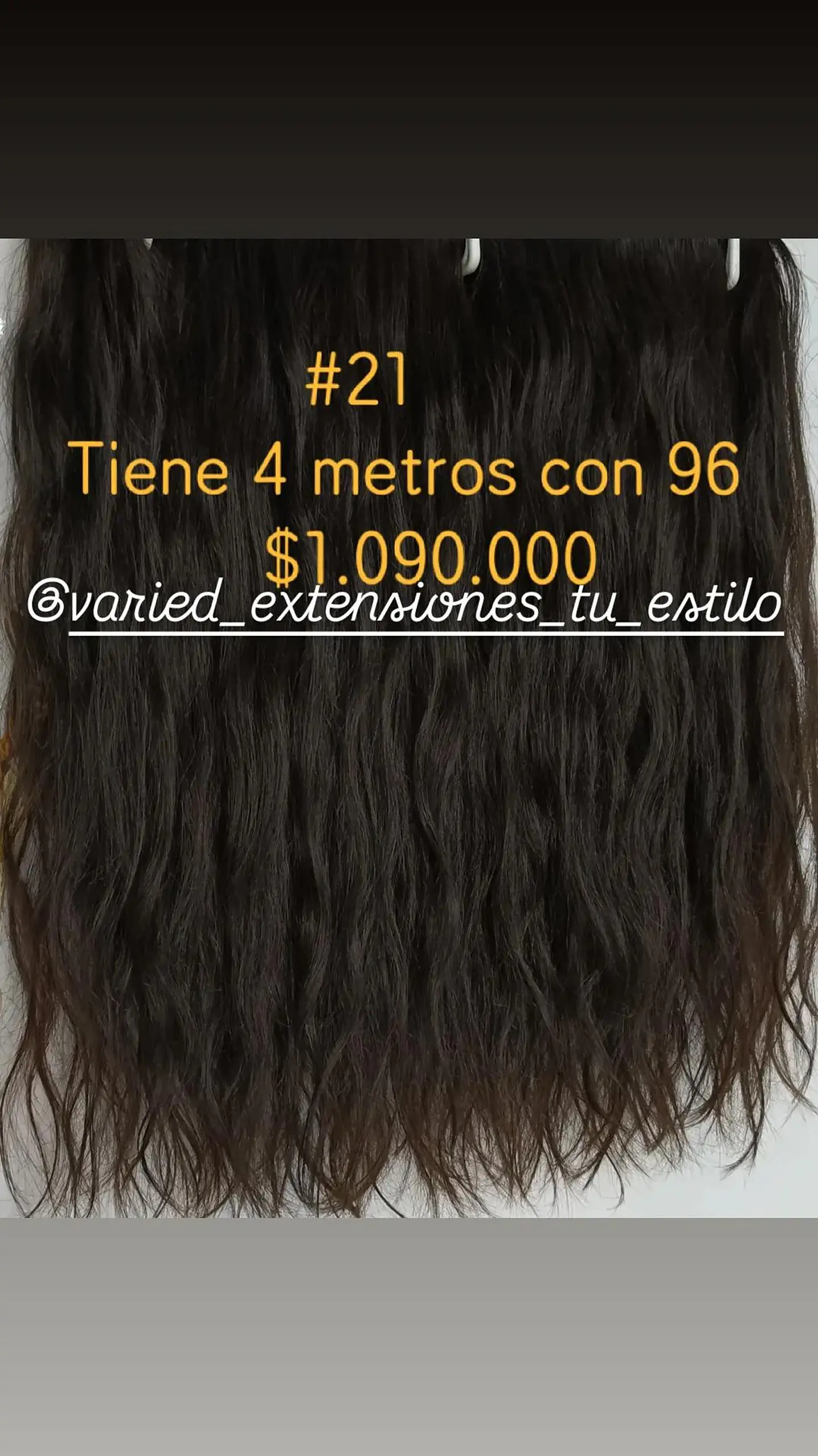 Extensión #21 1