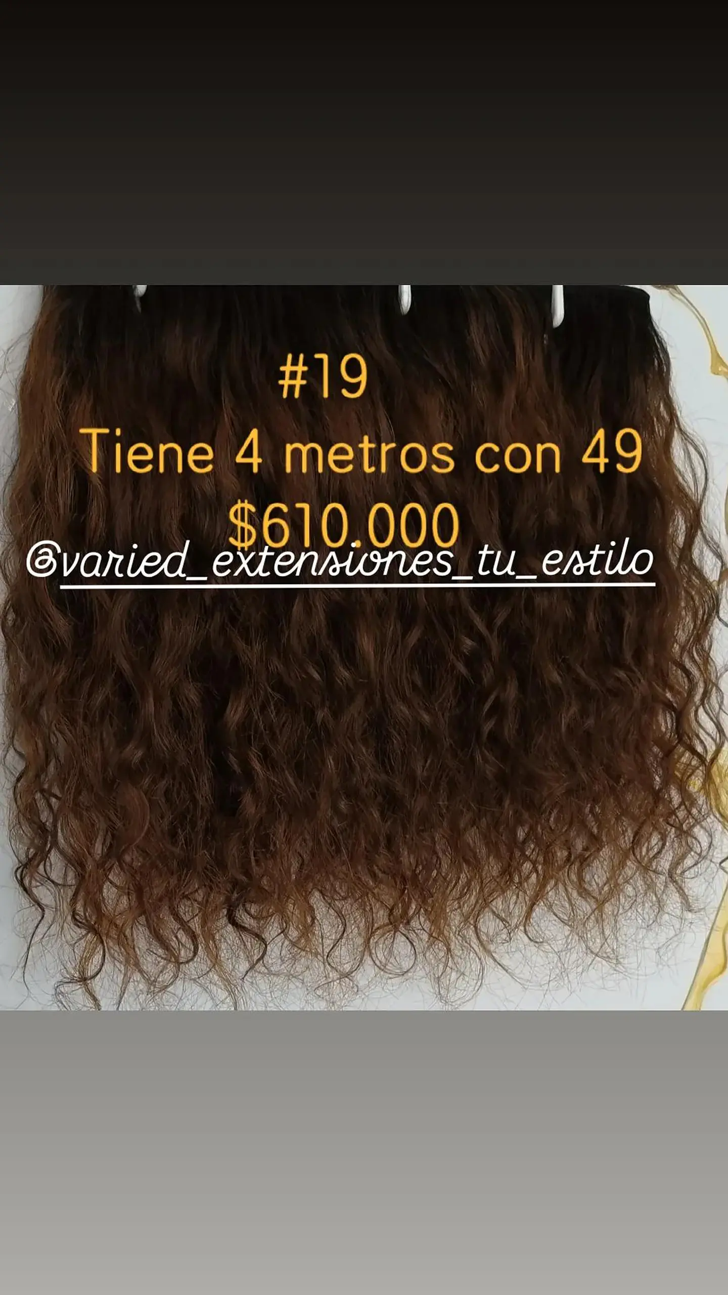 Extensión #19 1