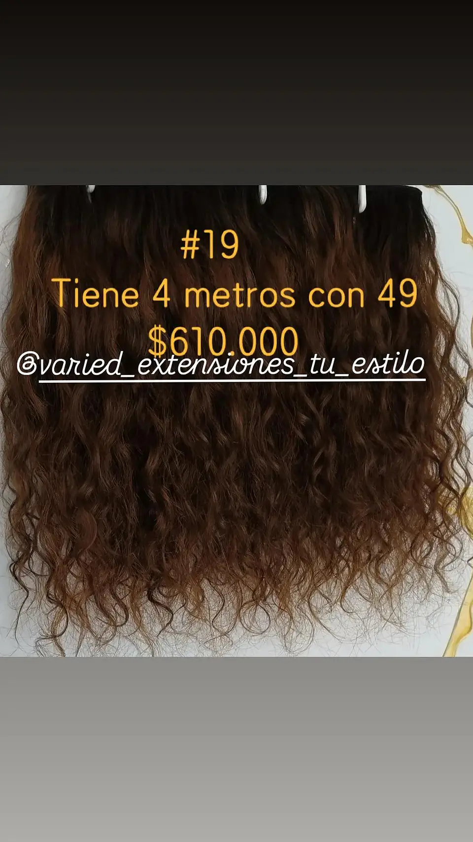 Extensión #19 1