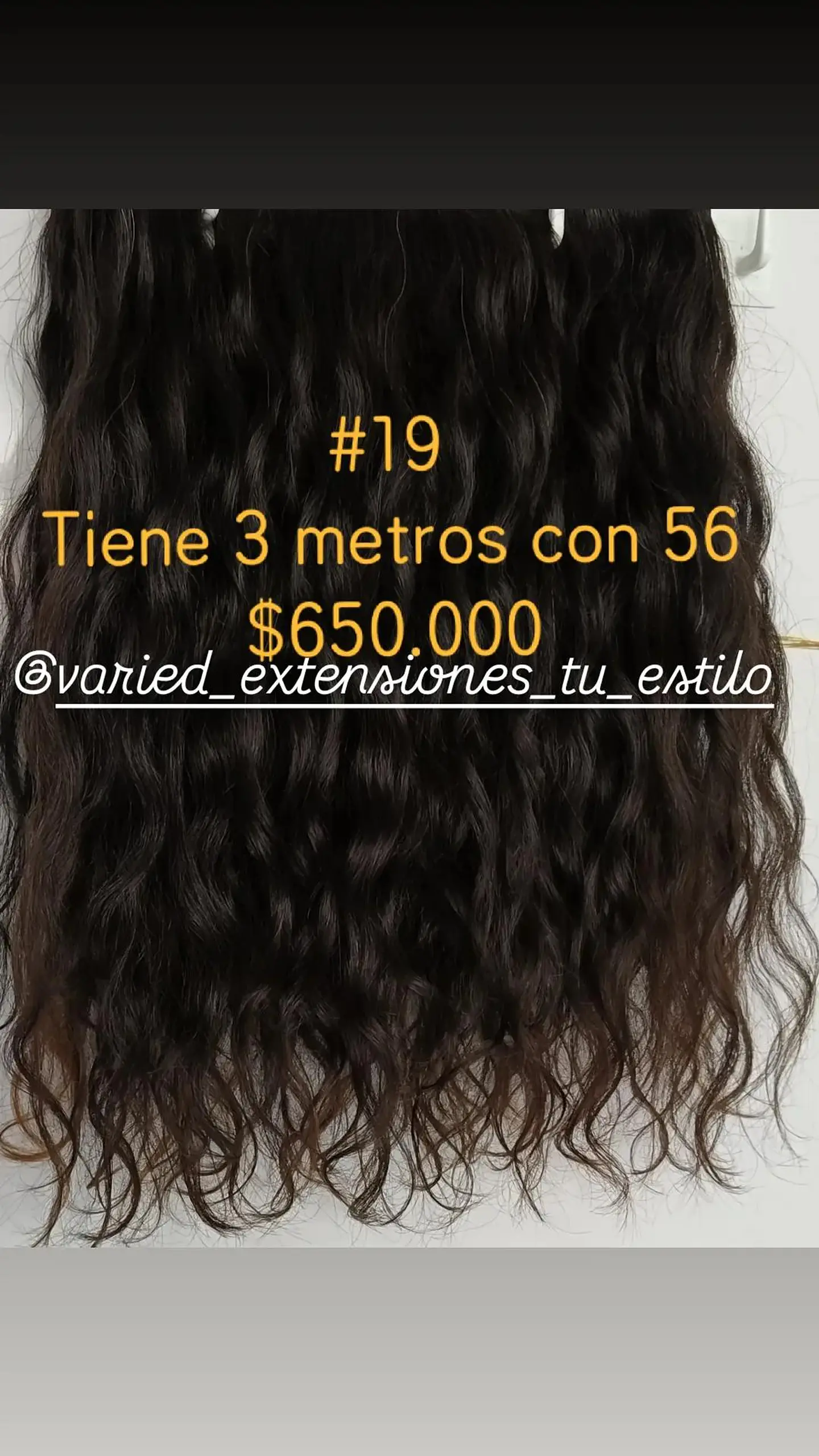 Extensión #19 1