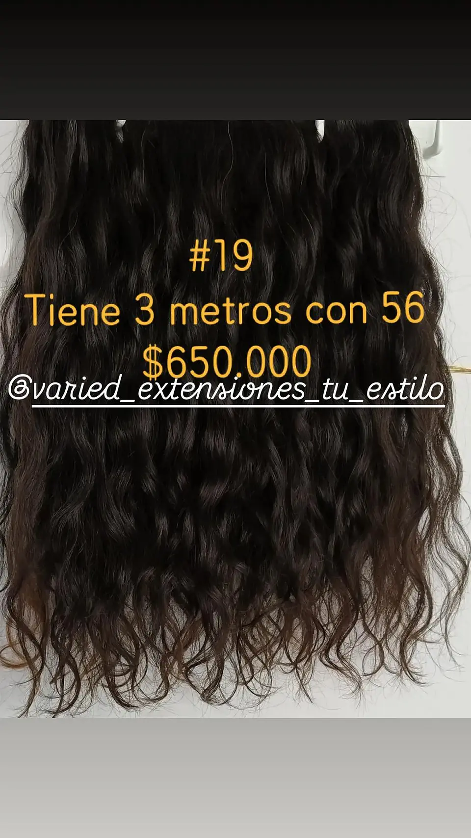 Extensión #19 1