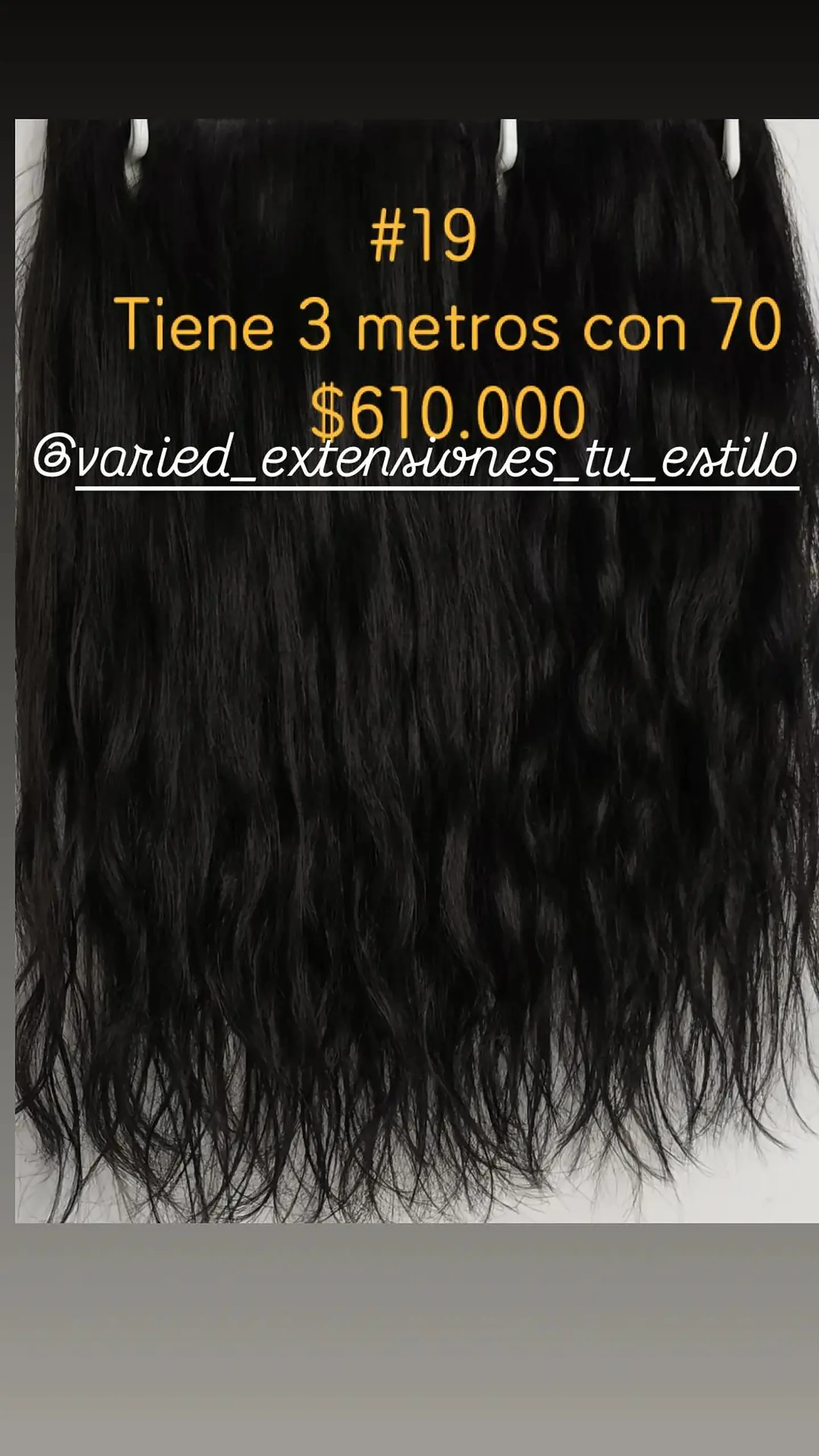 Extensión #19 1