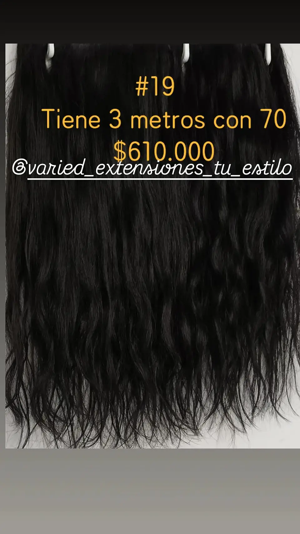 Extensión #19 1