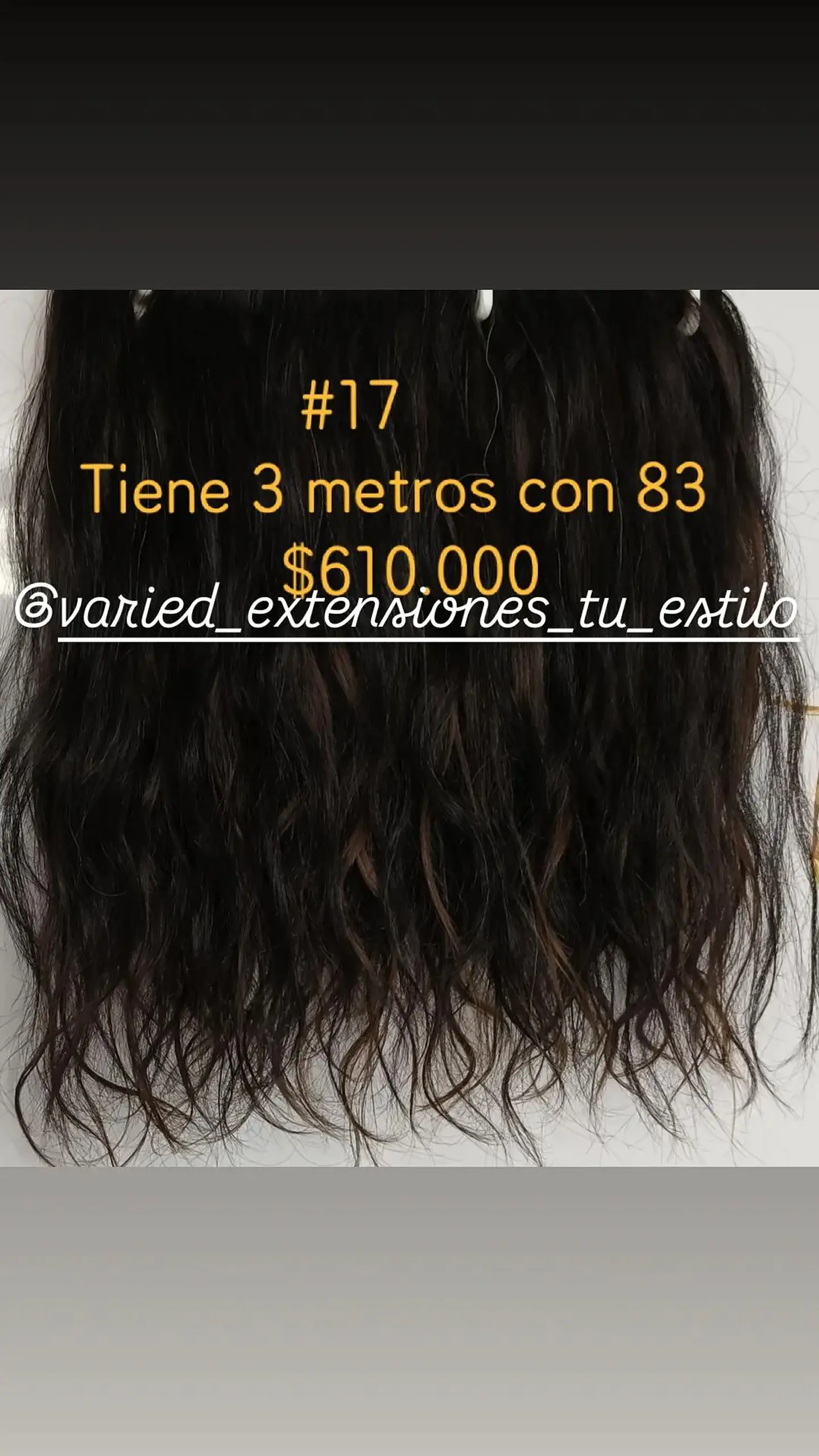 Extensión #17 1
