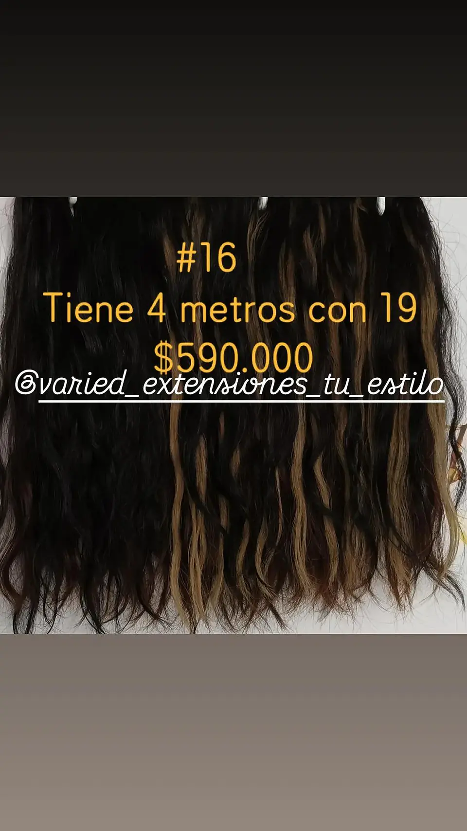 Extensión #16 1