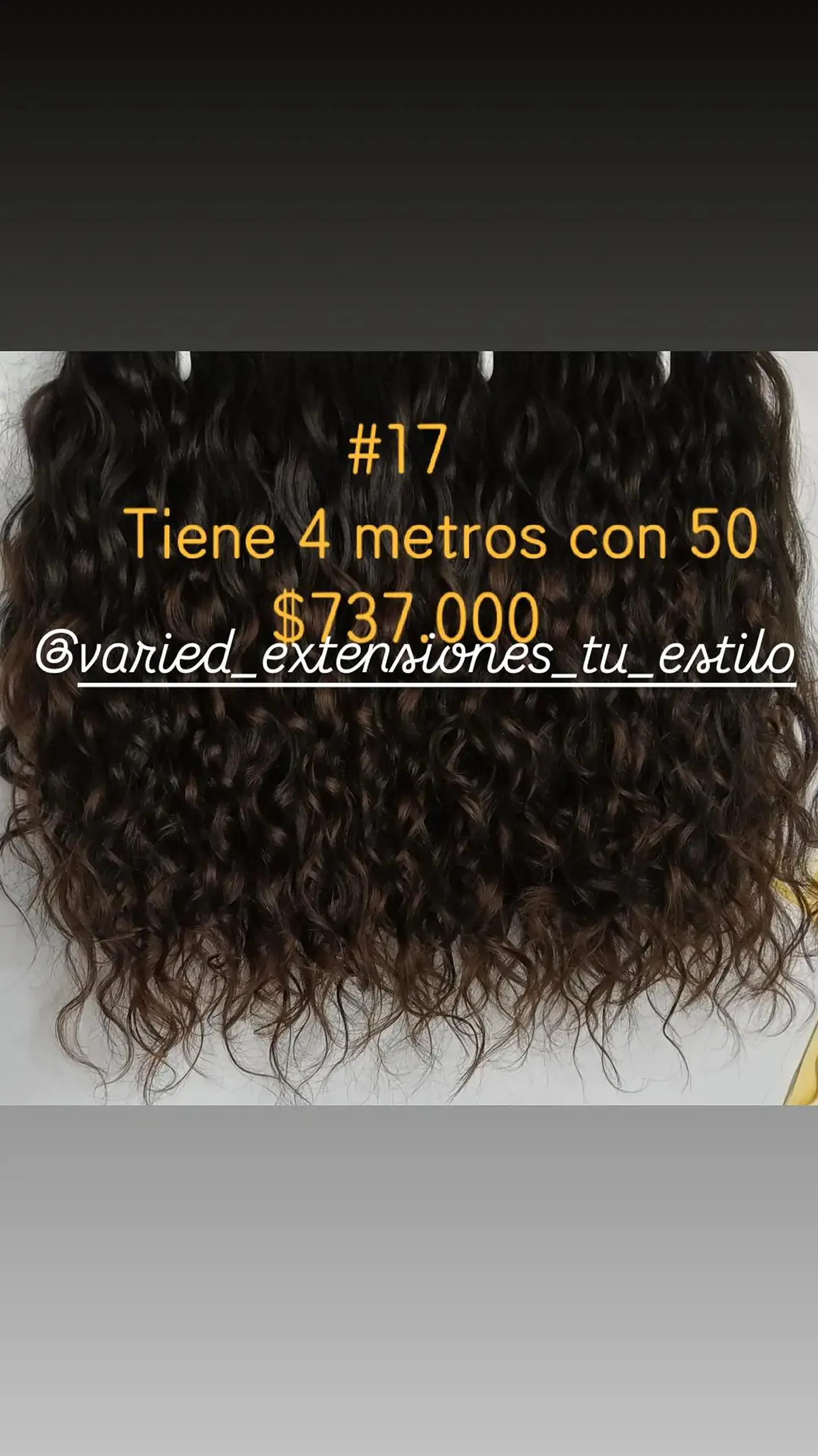 Extensión #17 1
