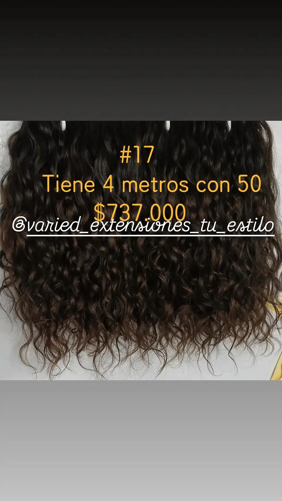 Extensión #17 1