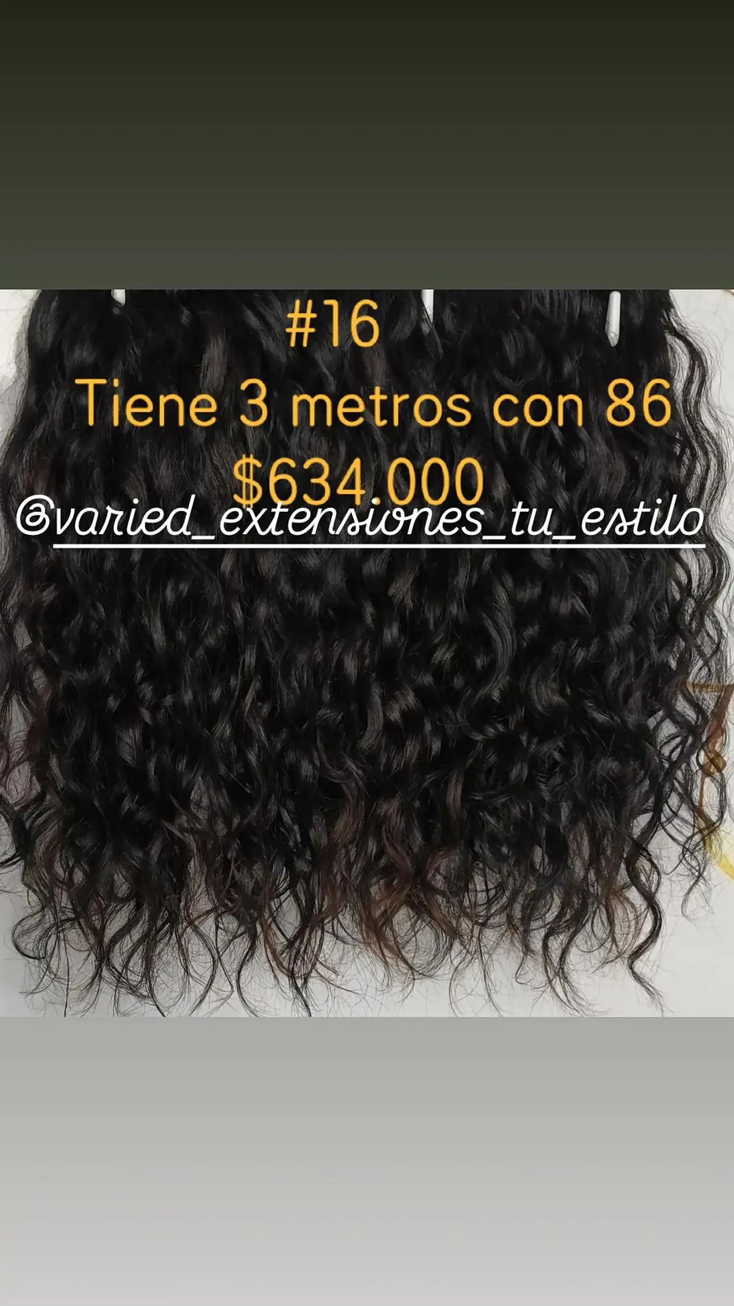 Extensión #16 1