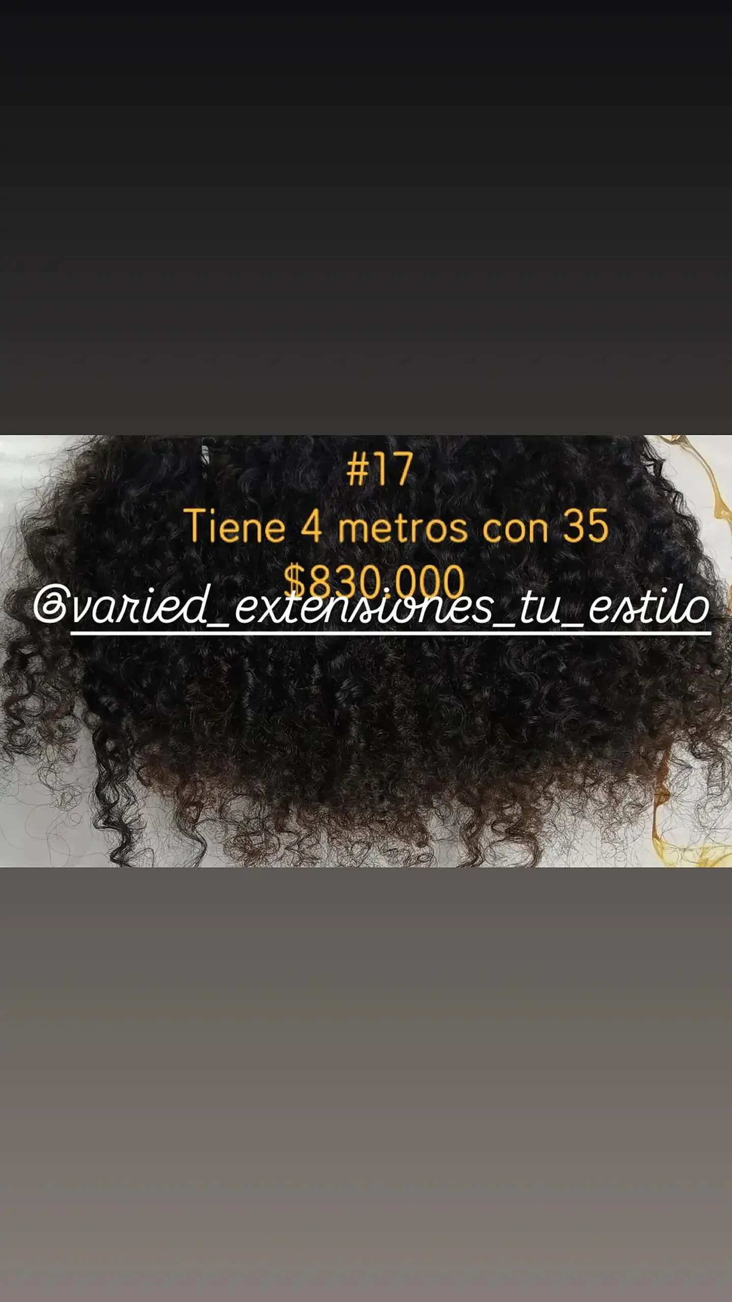 Extensión #17 1
