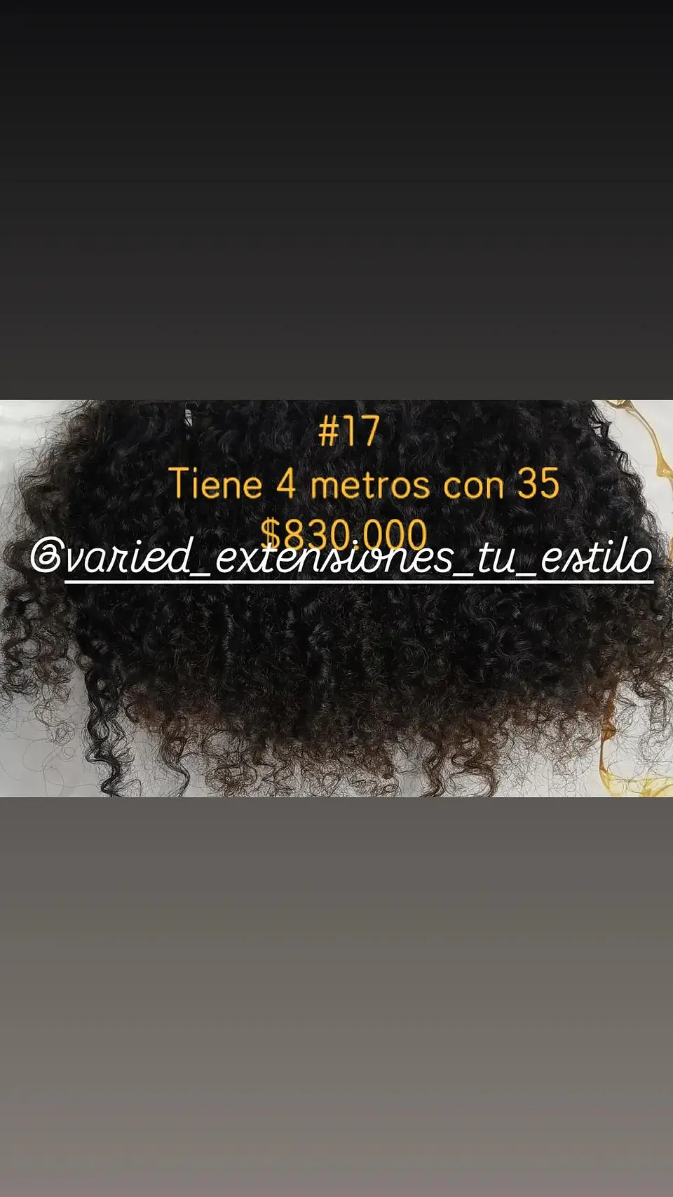 Extensión #17 1