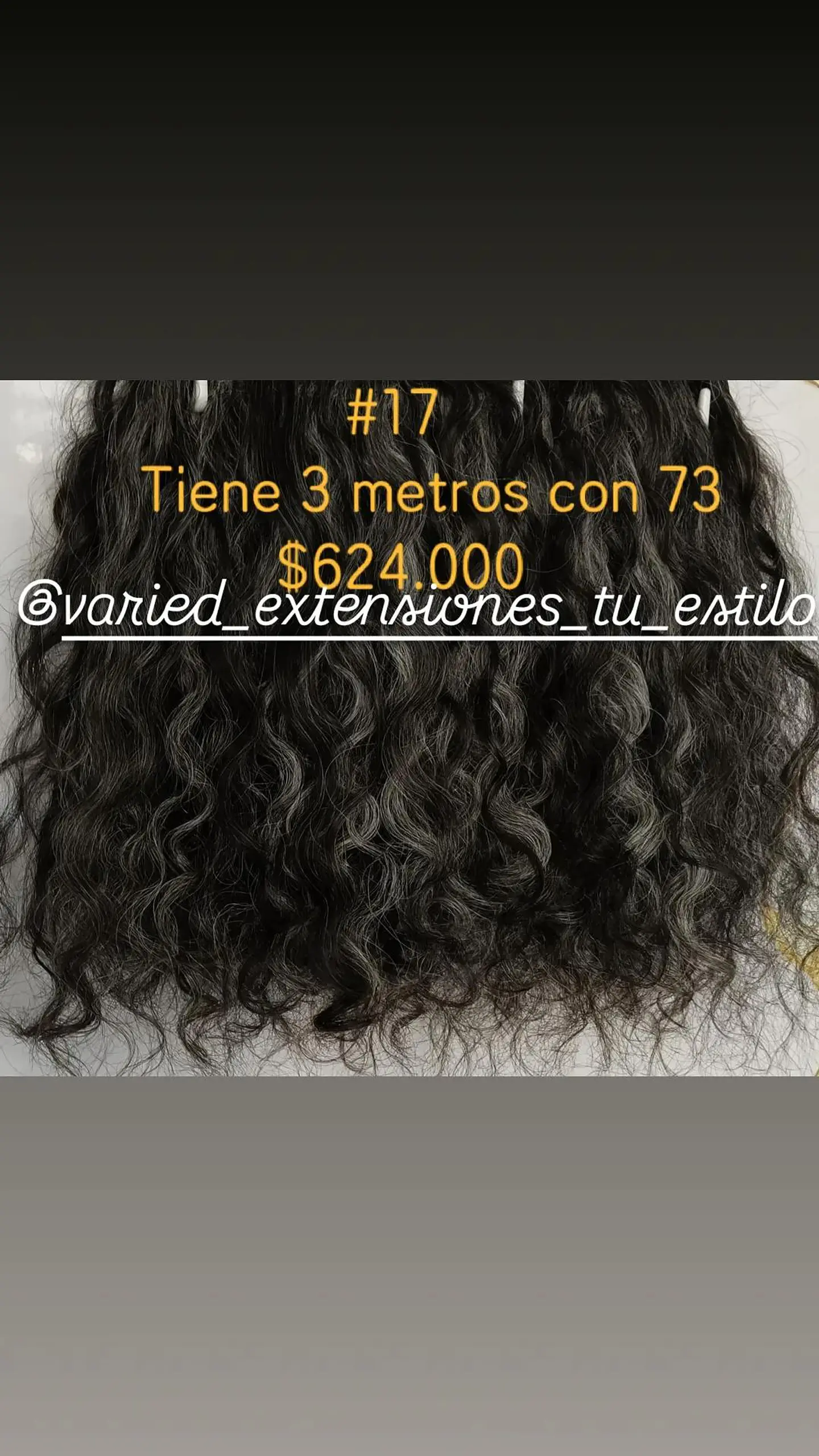 Extensión #17 1