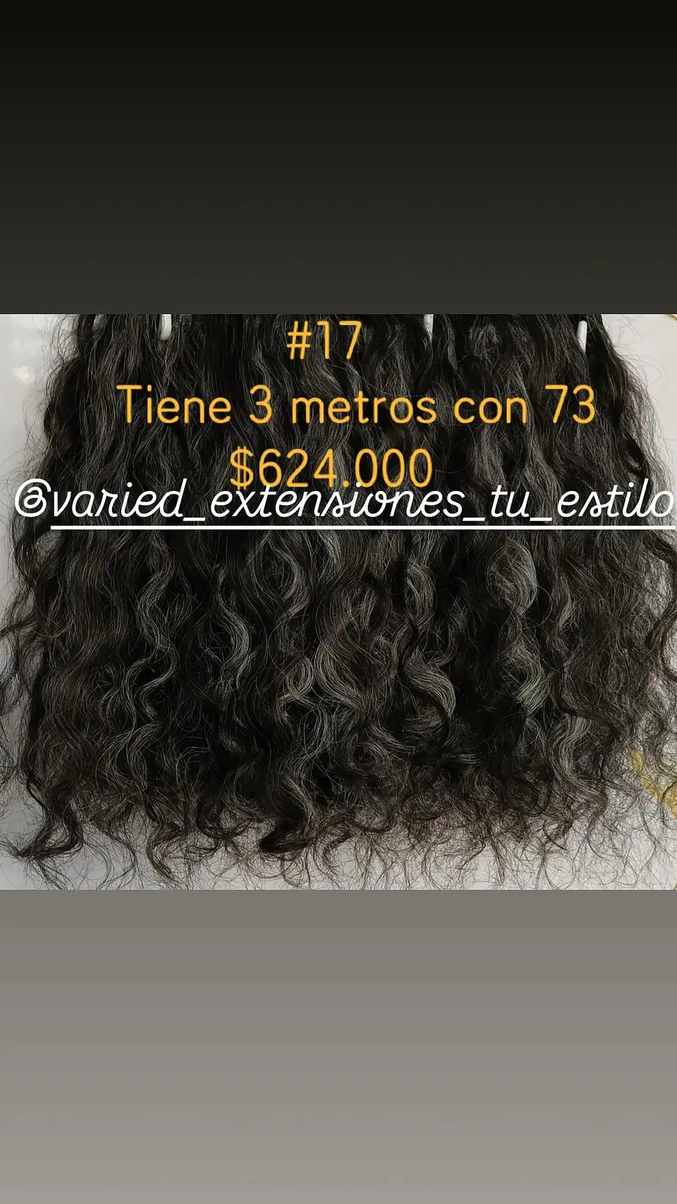 Extensión #17 1