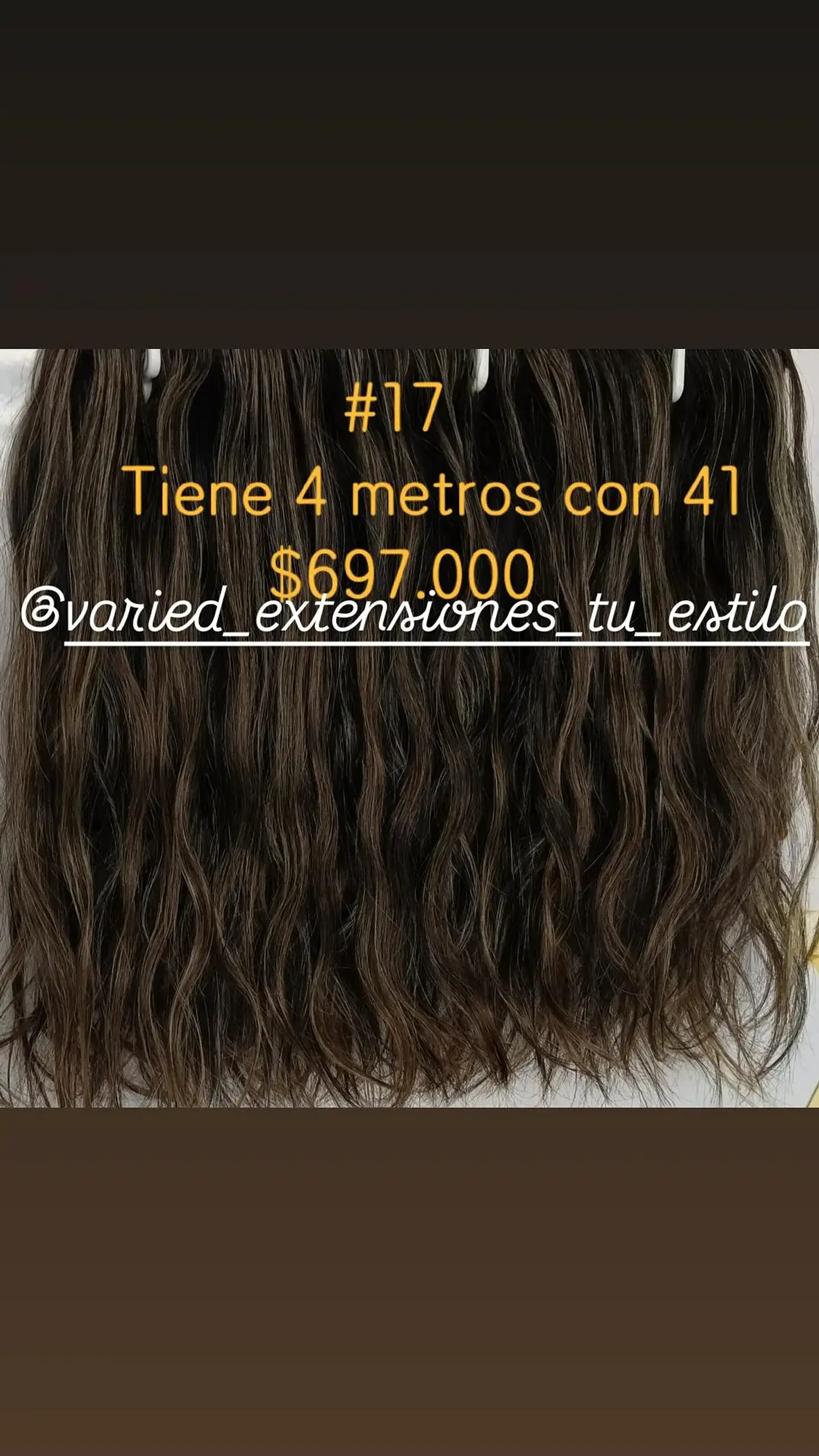 Extensión #17 1