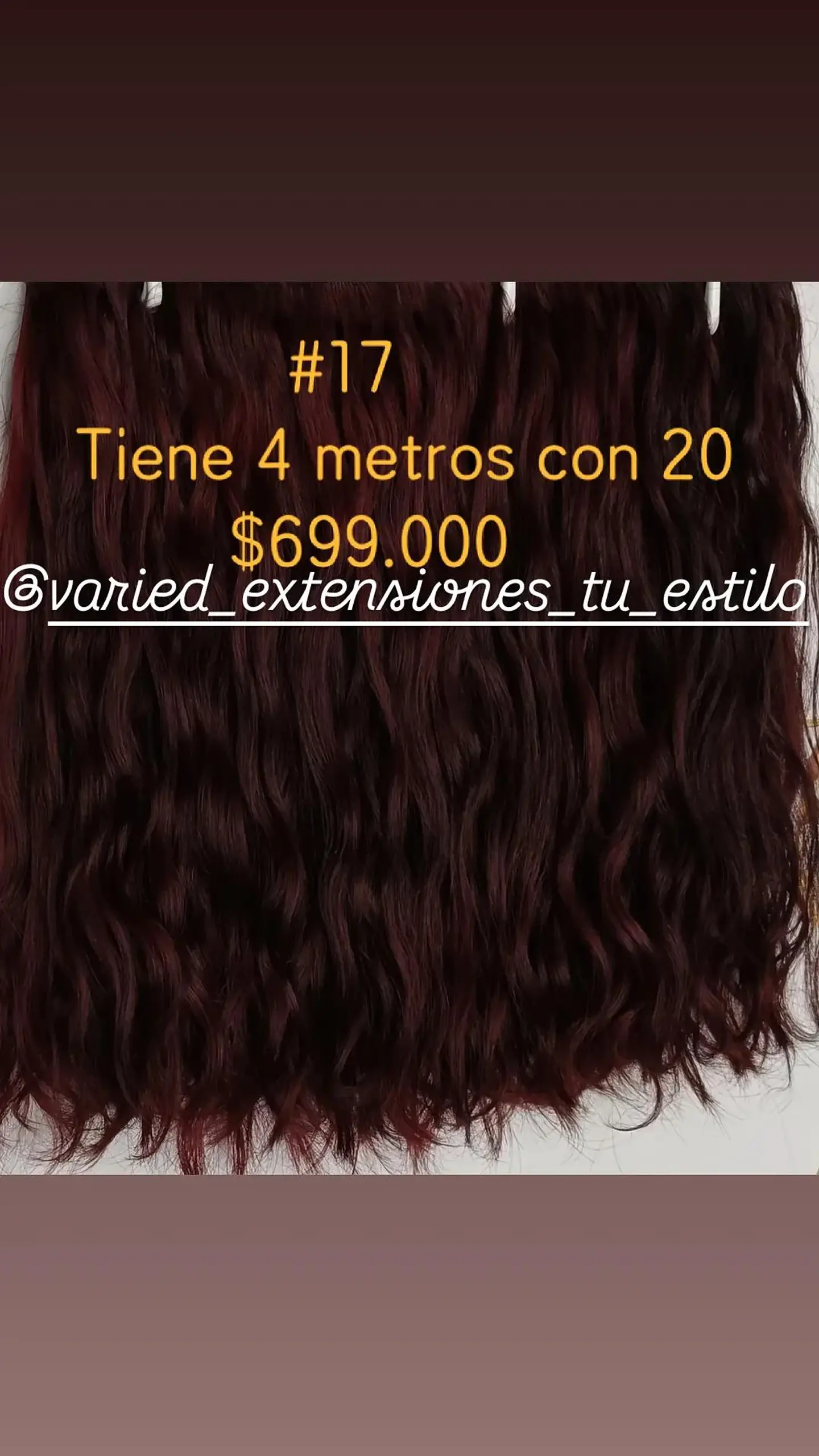 Extensión #17 1