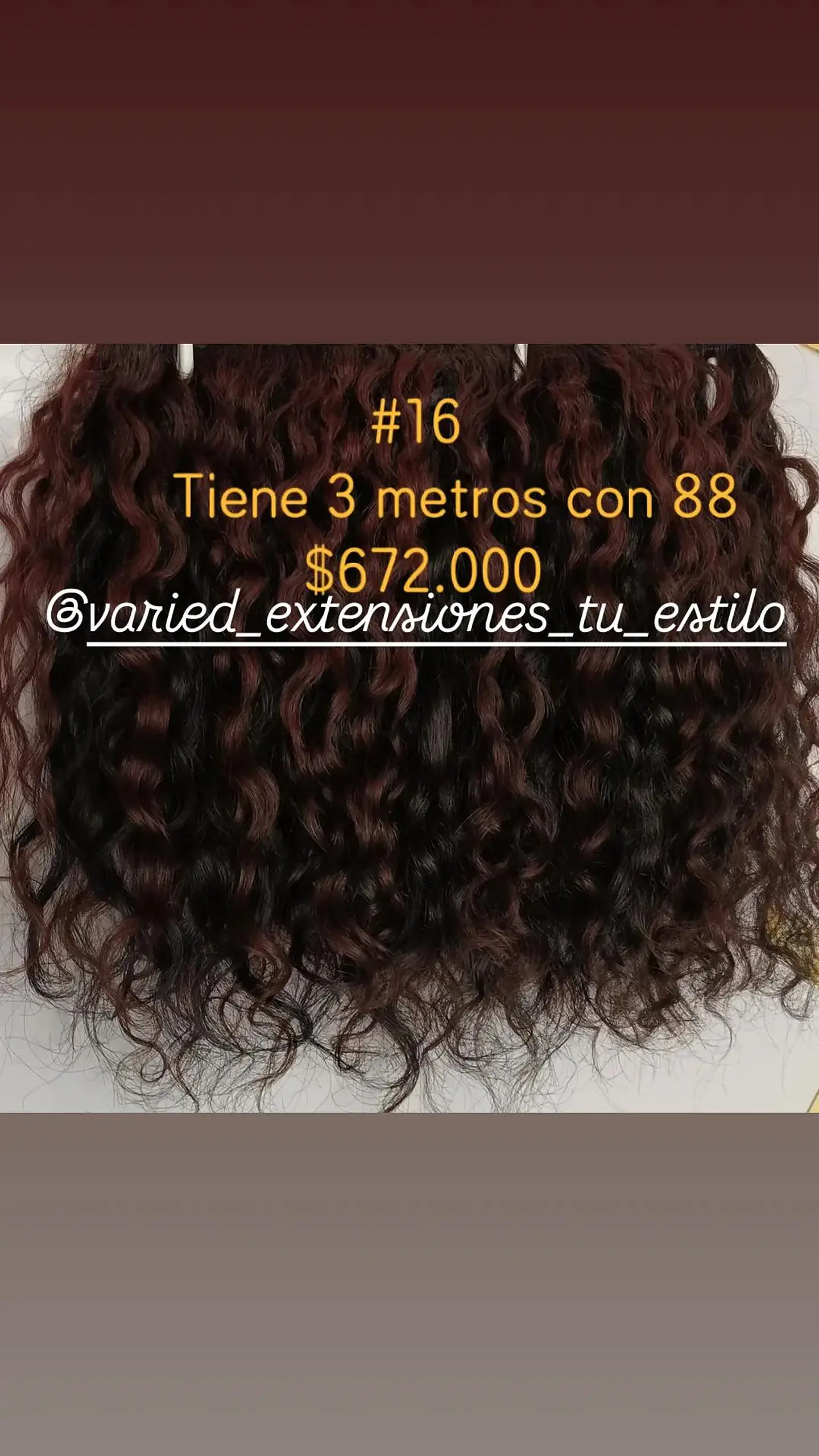 Extensión #16 1