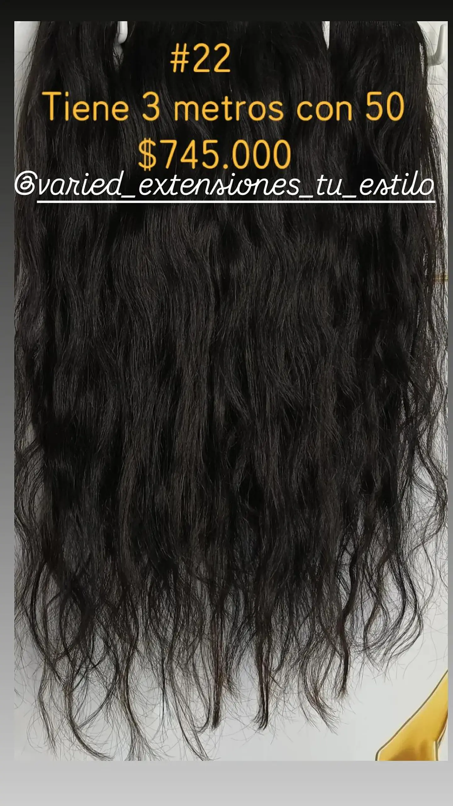 Extensión #22 1