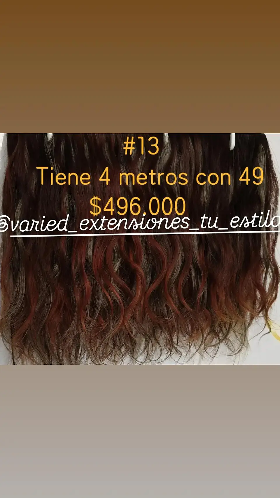 Extensión #13 1